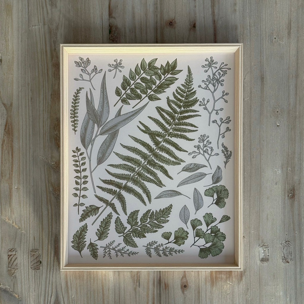 Leaf Framed Print