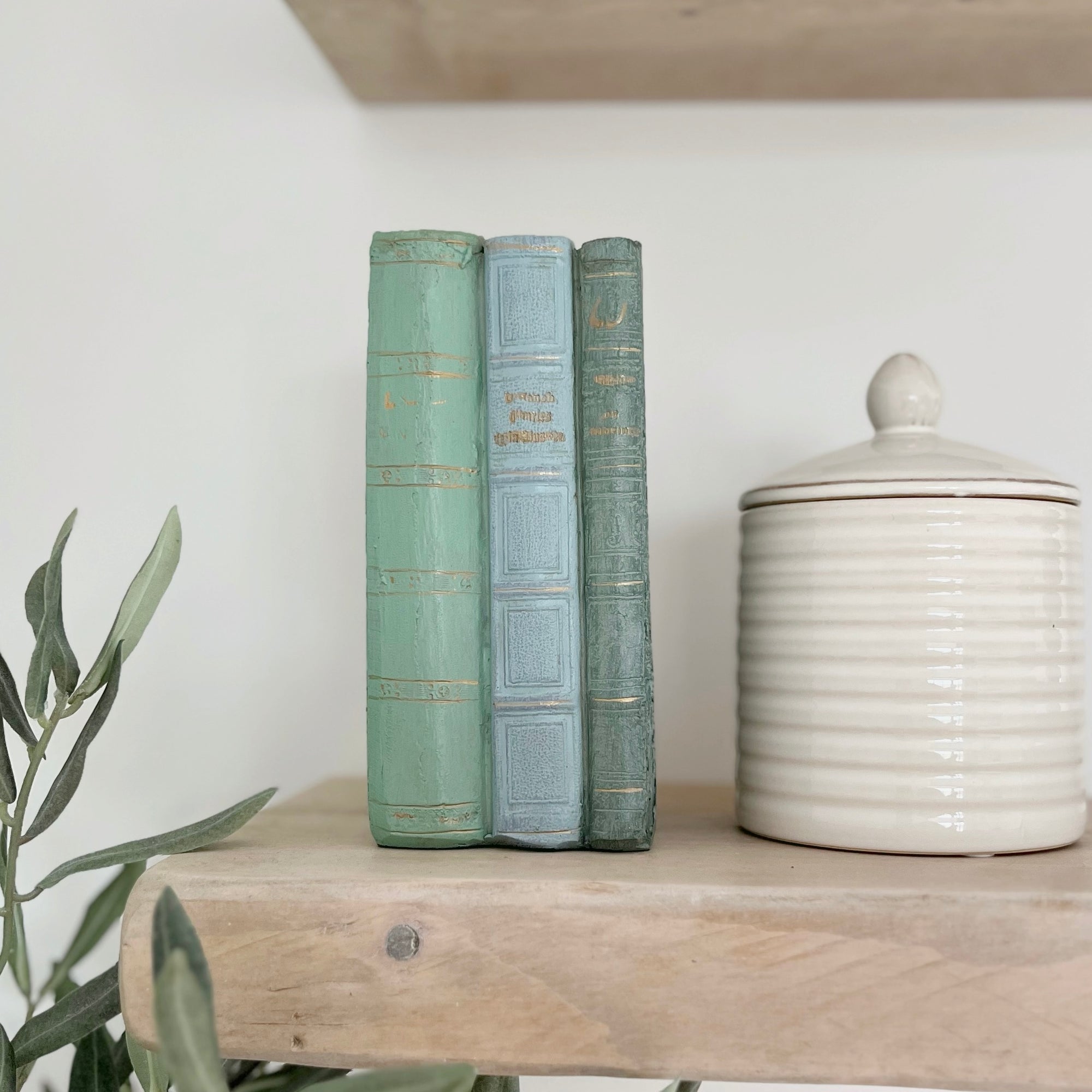 Old French Style Books
