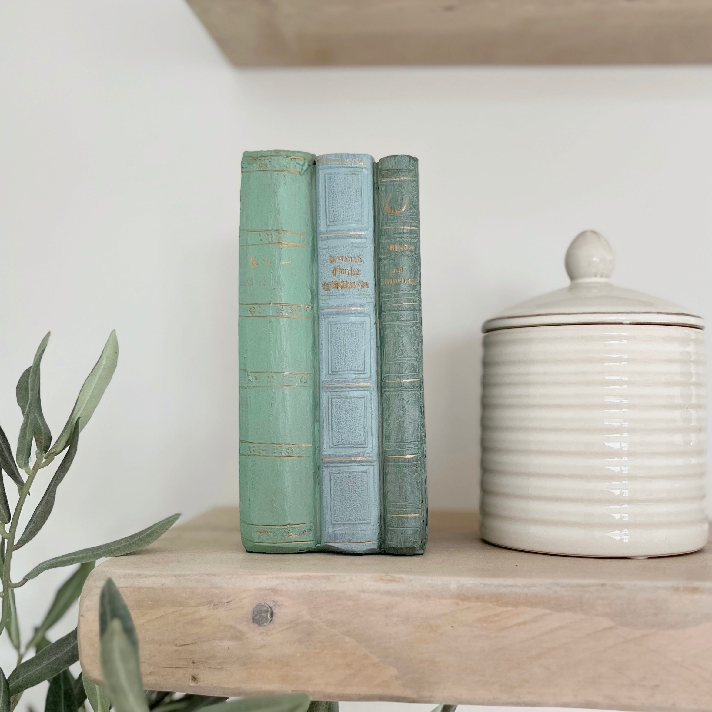 Old French Style Books