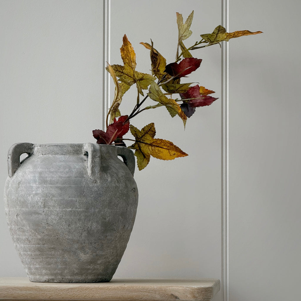 Autumn Maple Stem