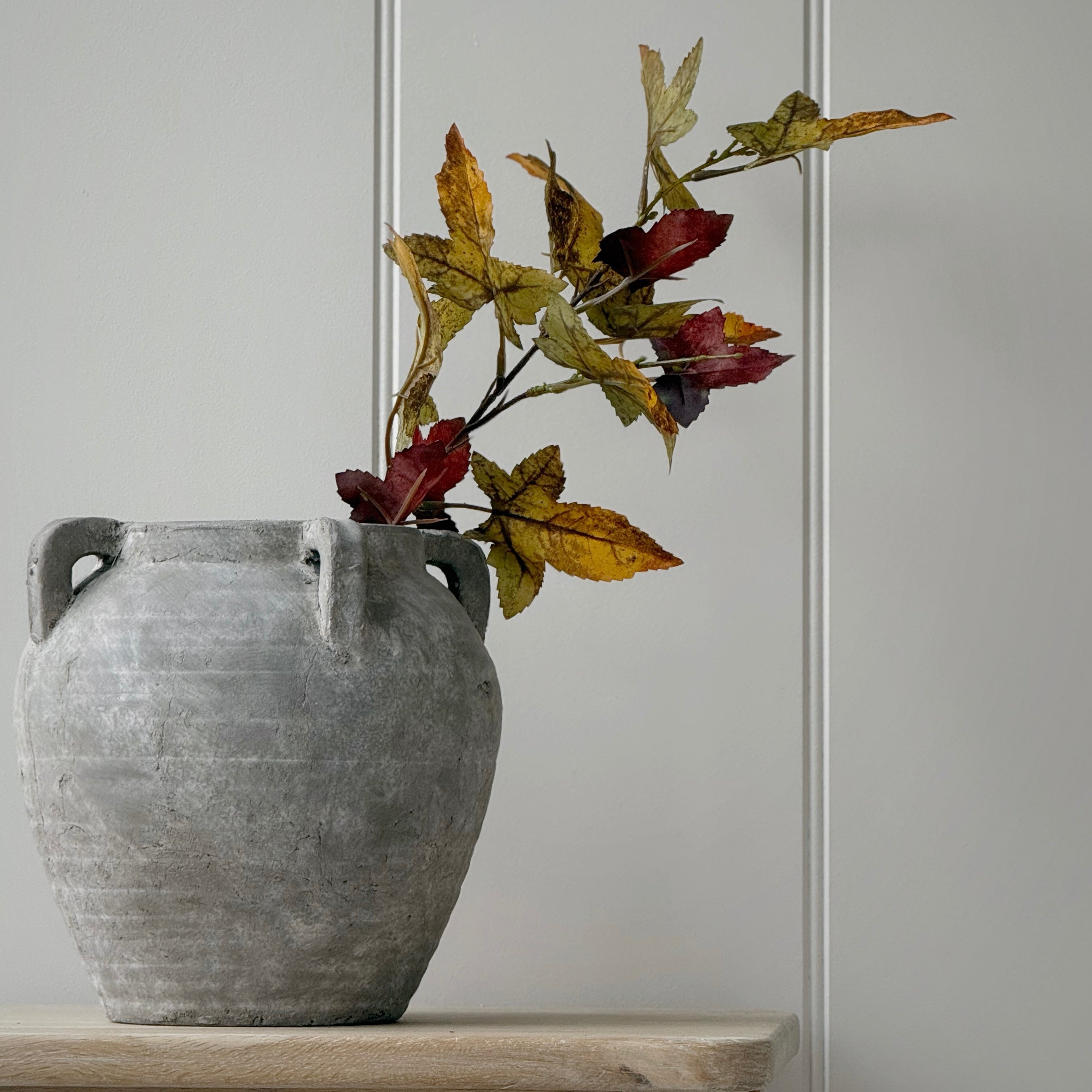 Autumn Maple Stem