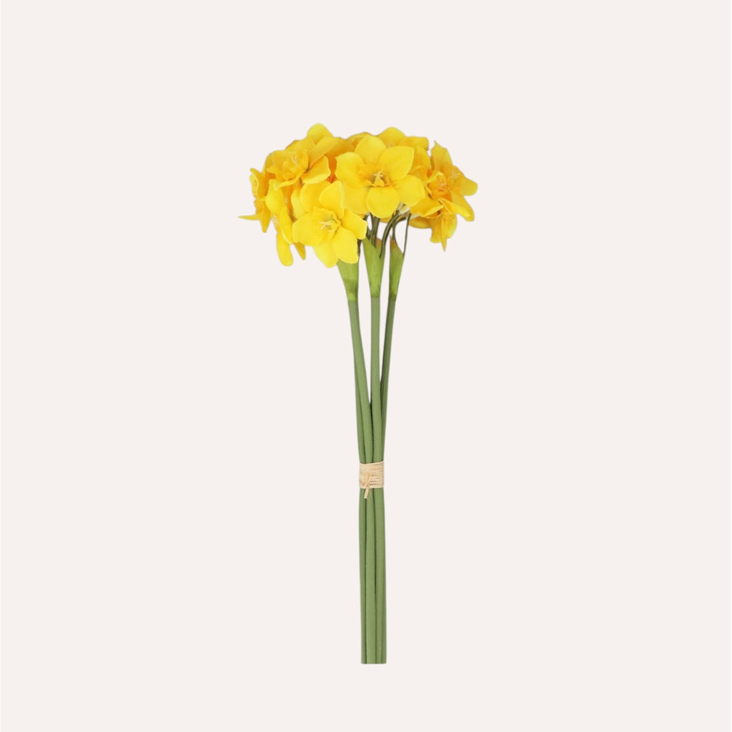 Yellow Narcissus Bunch