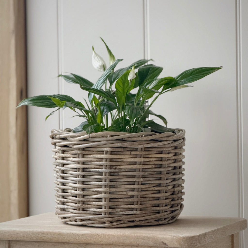 Hanging Wall Basket Lined