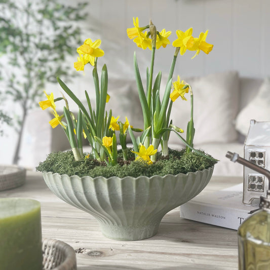 Green Yodit Planter