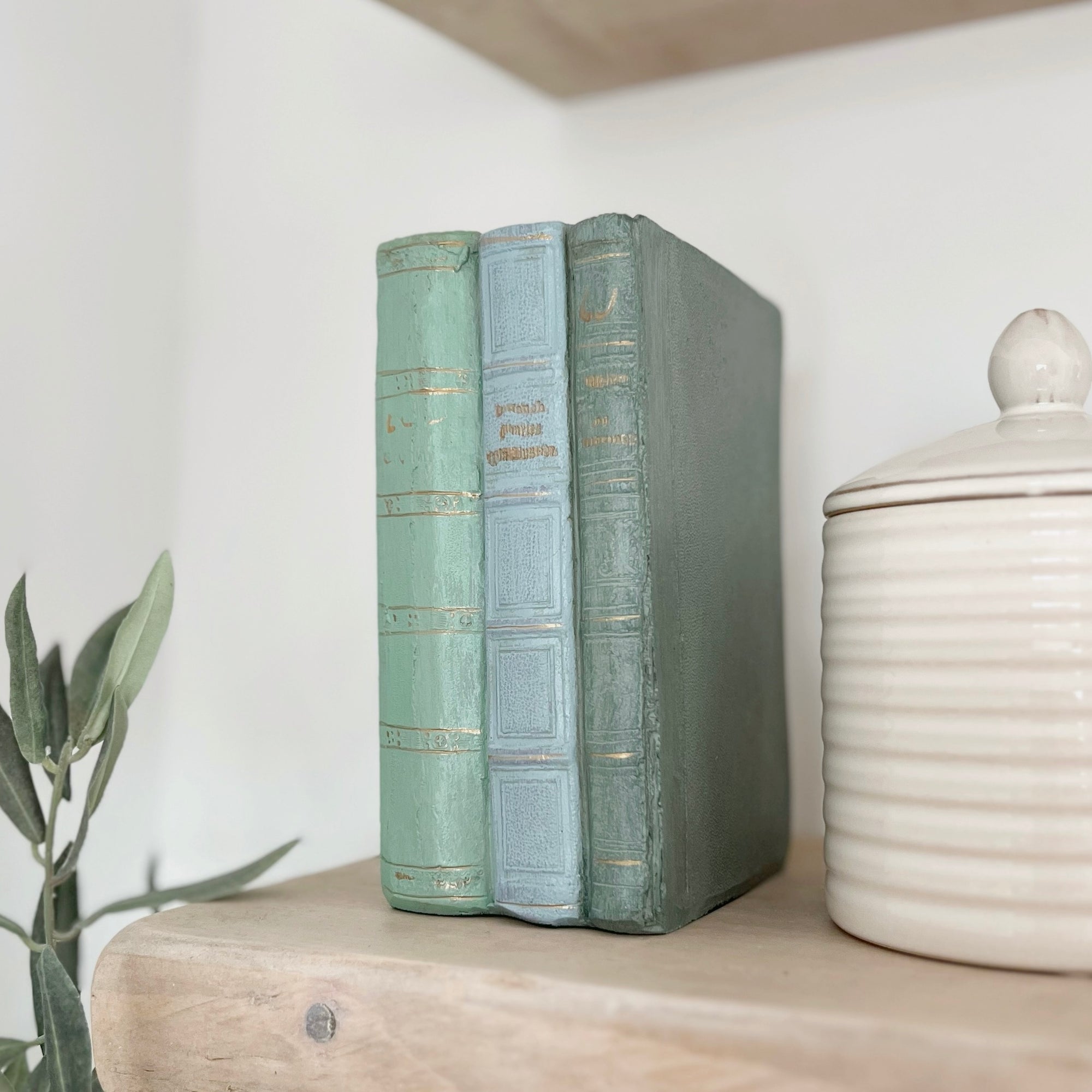 Old French Style Books