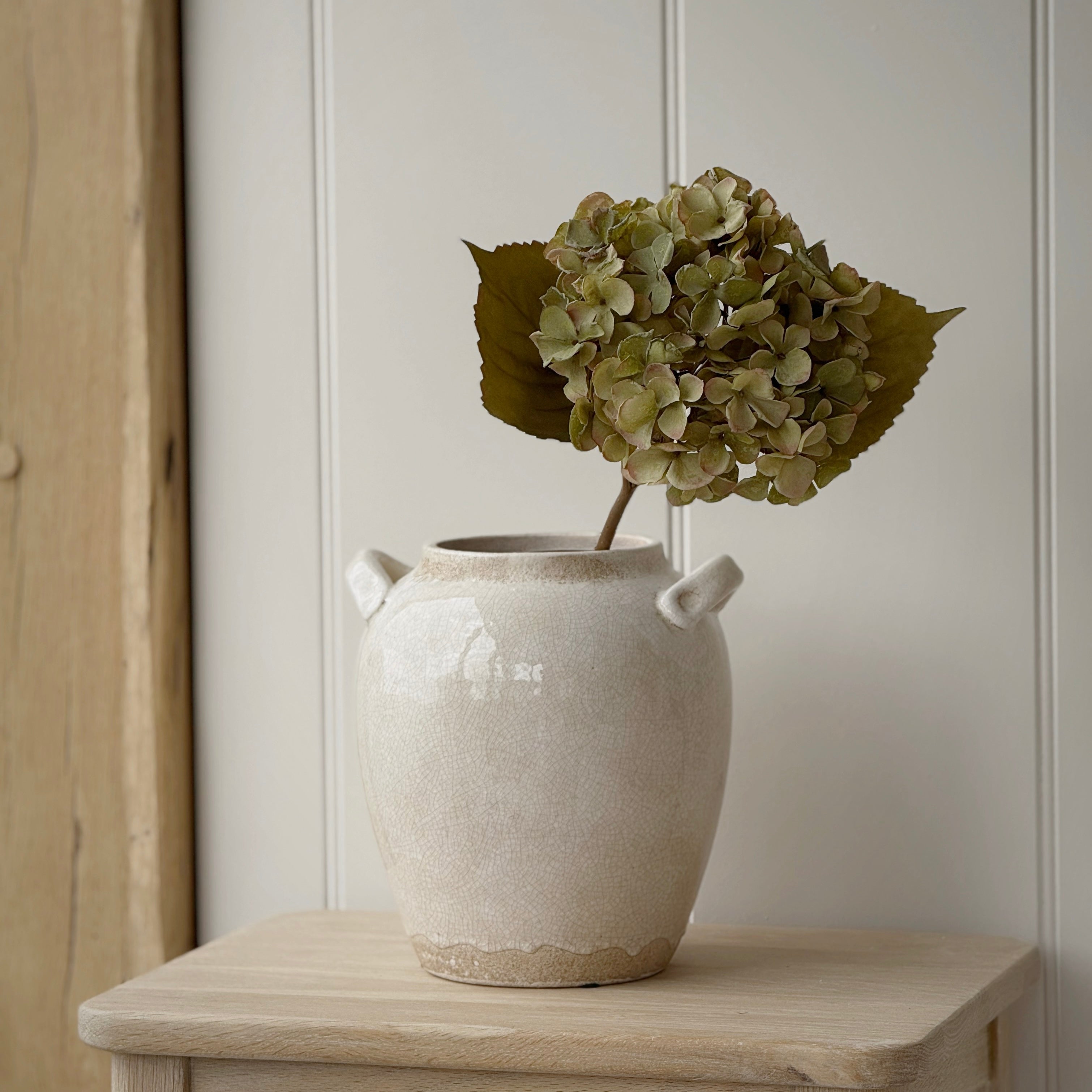 Olive Hydrangea