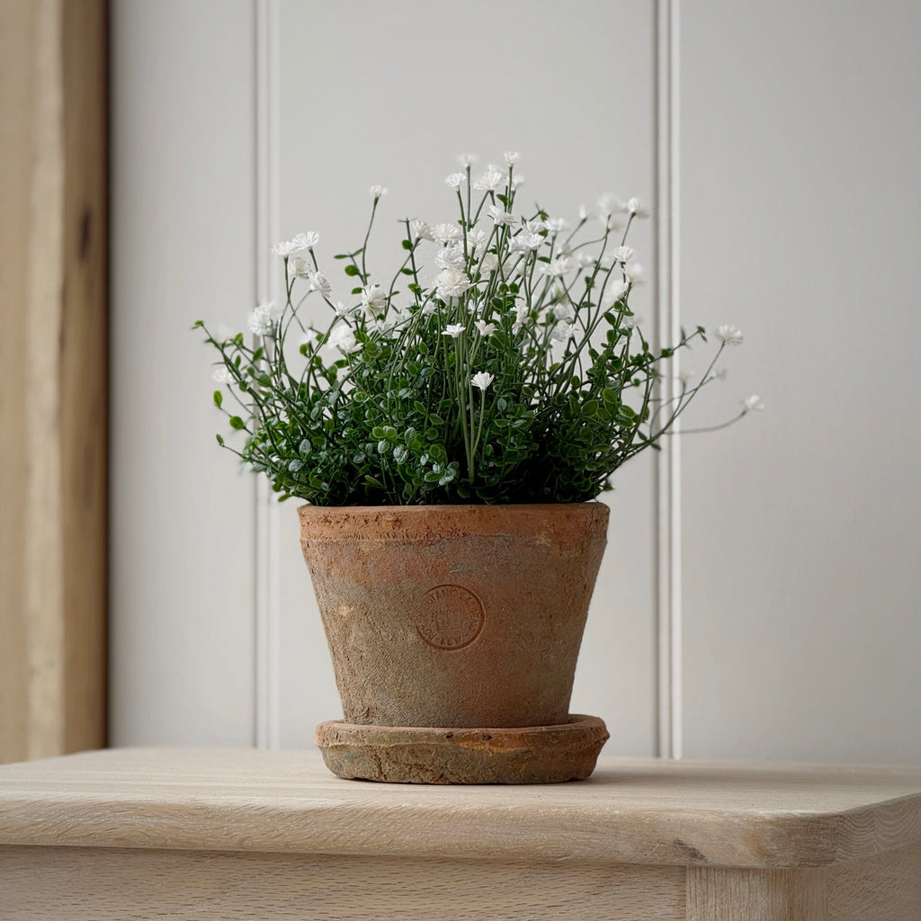 Large Kew Terracotta Pot