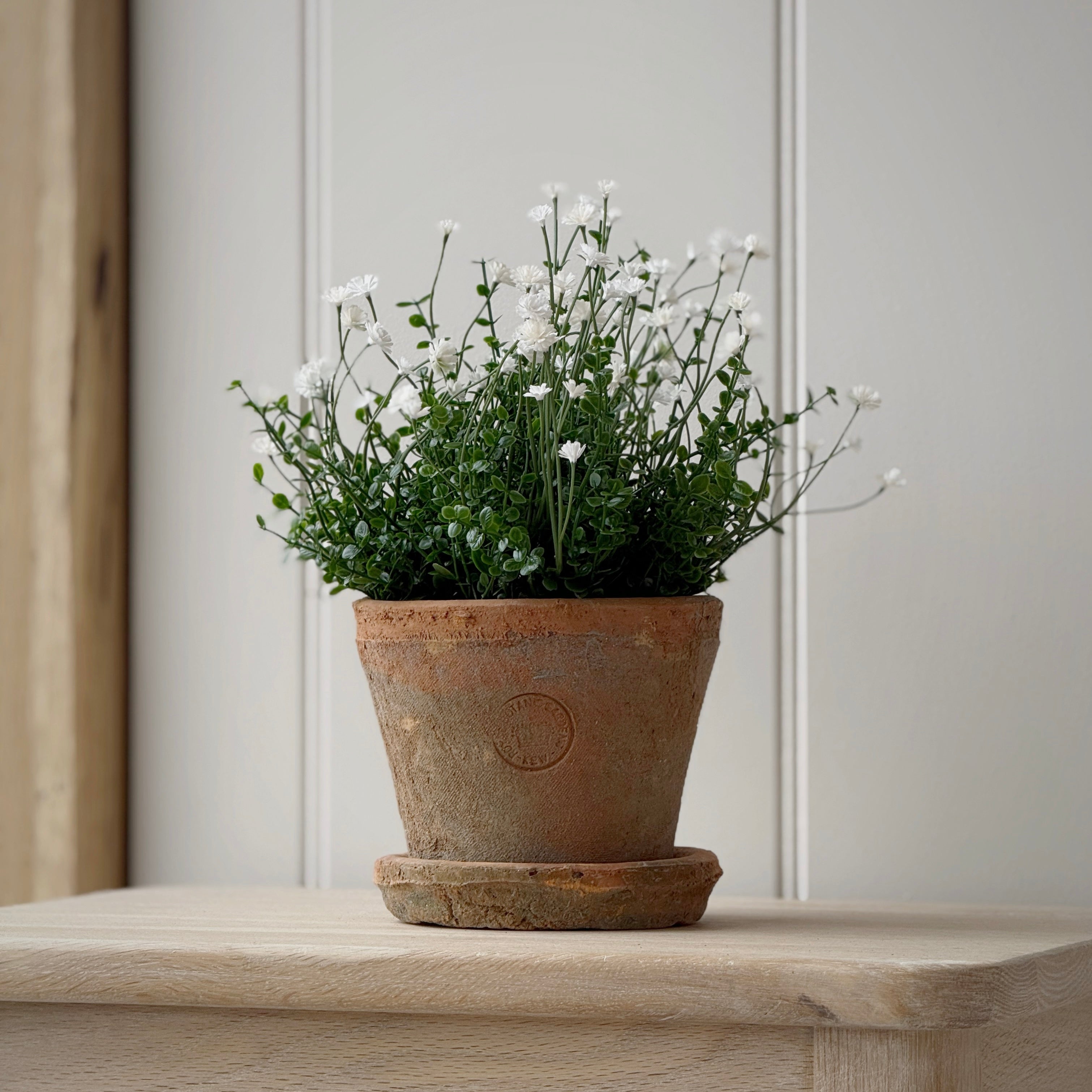 Large Kew Terracotta Pot