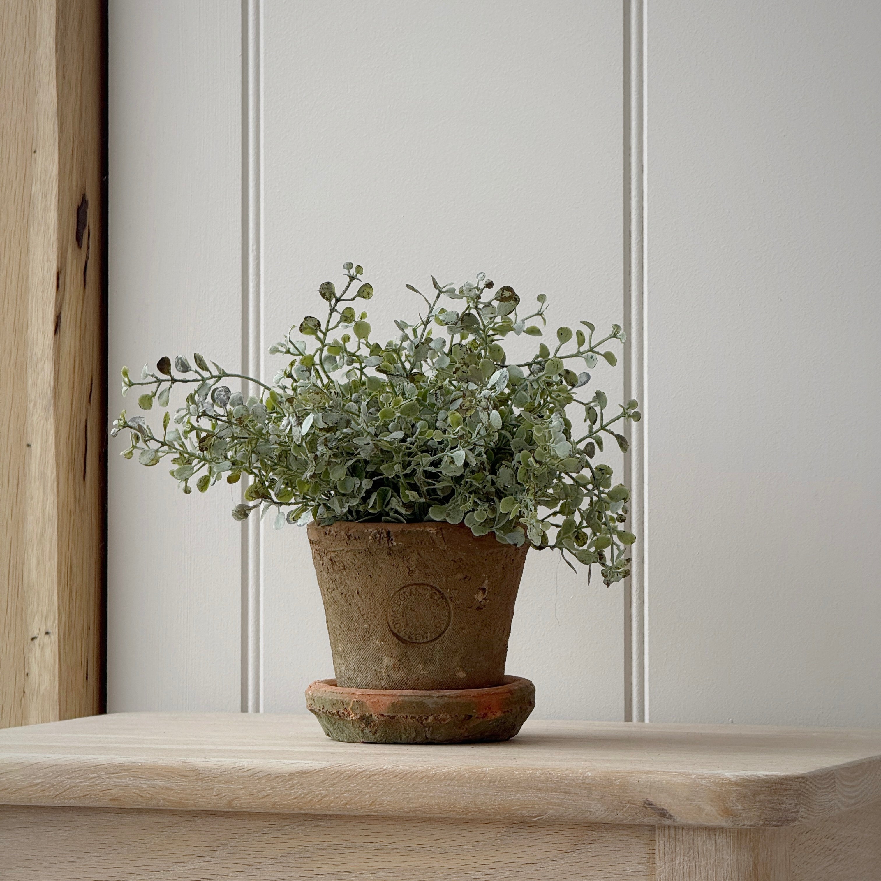 Small Kew Terracotta Pot