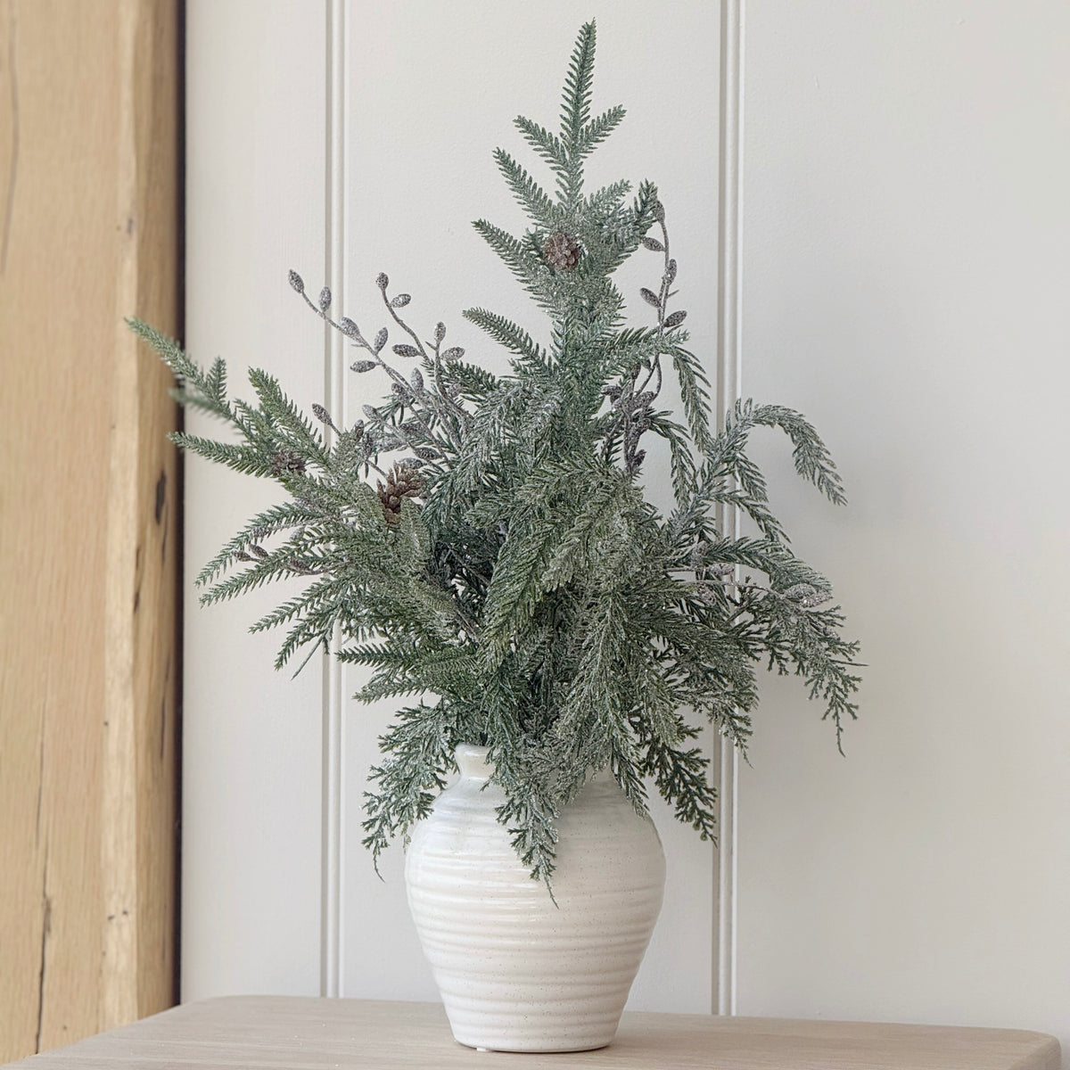 Sparkle Pine In Pot
