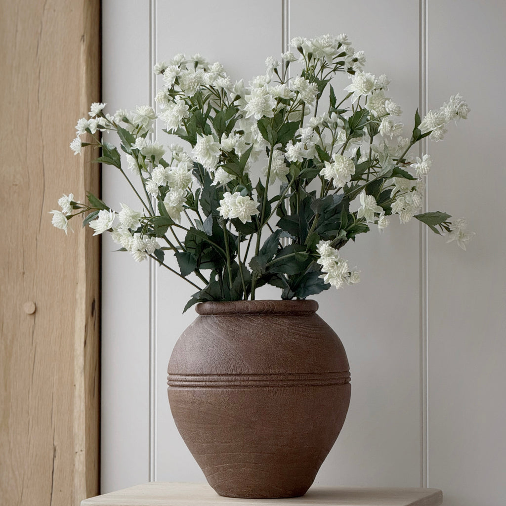 Astrantia Spray