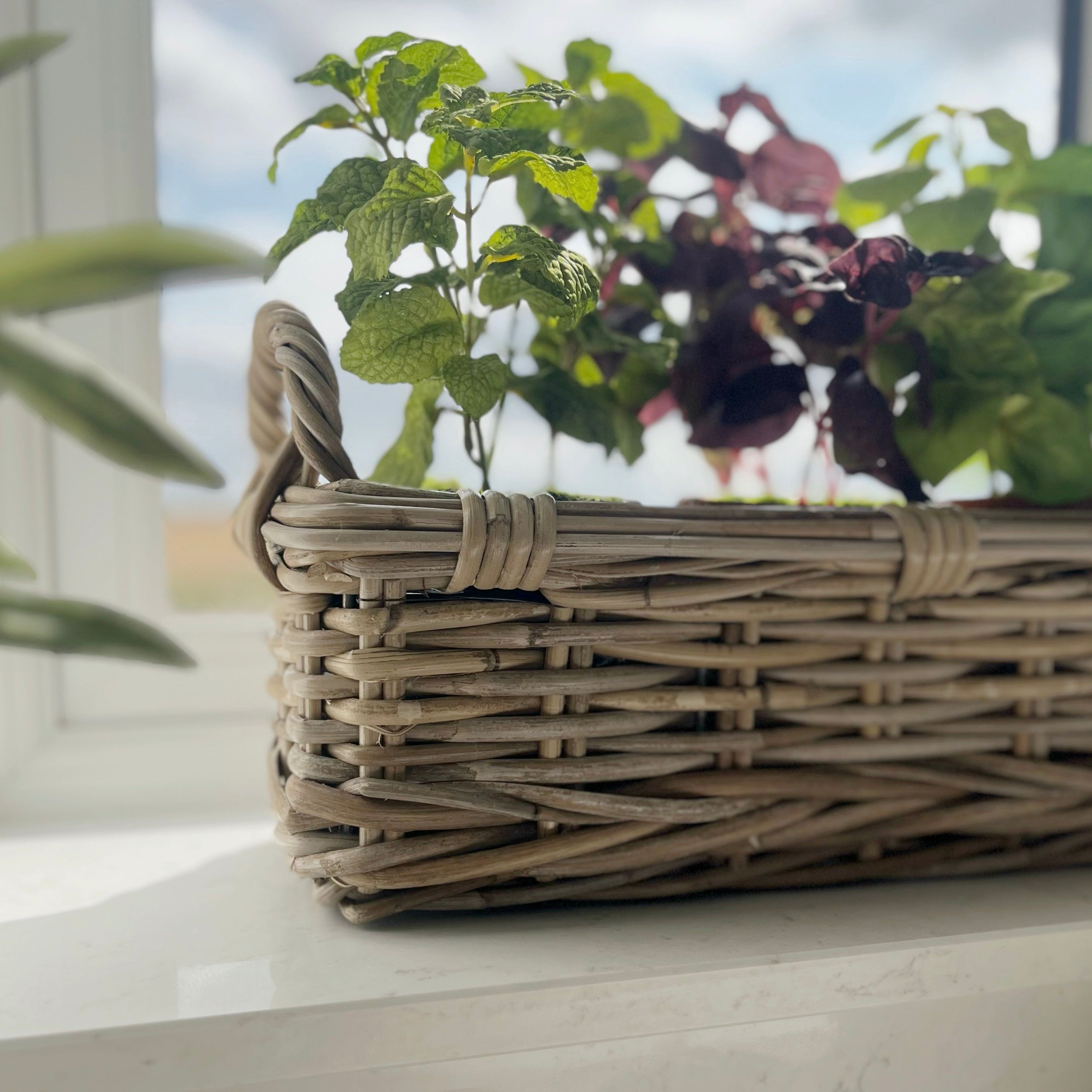 Kubu Herb Planter