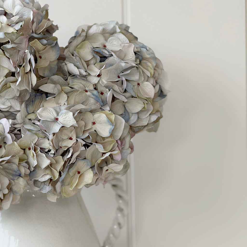 Pale Lavender Hydrangea