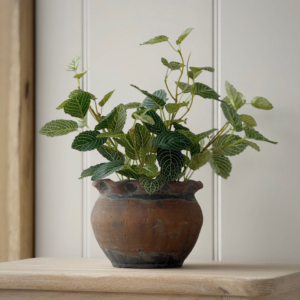 Small Vintage Pie Crust Planter