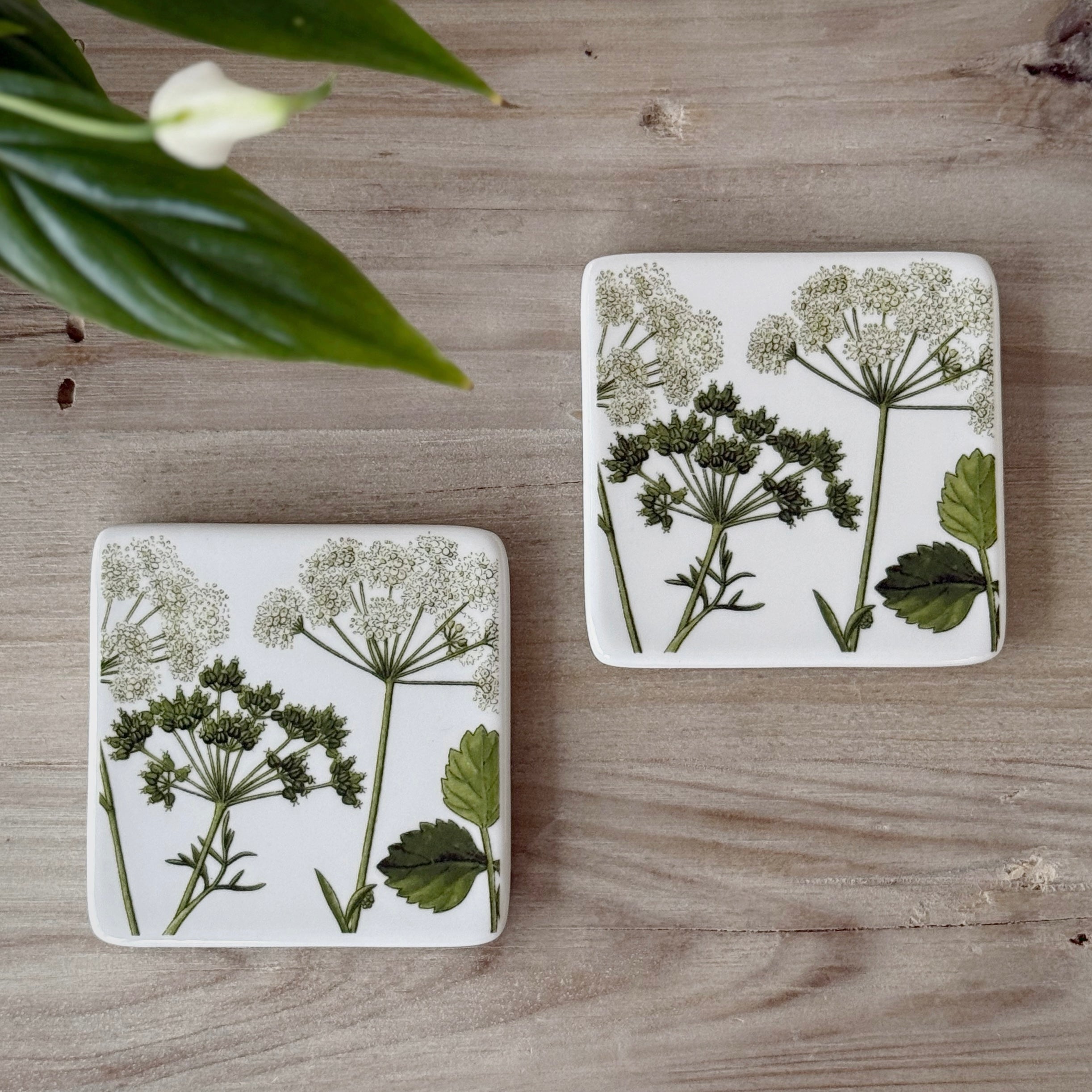 Set Of 2 Spring Hedgerow Coasters