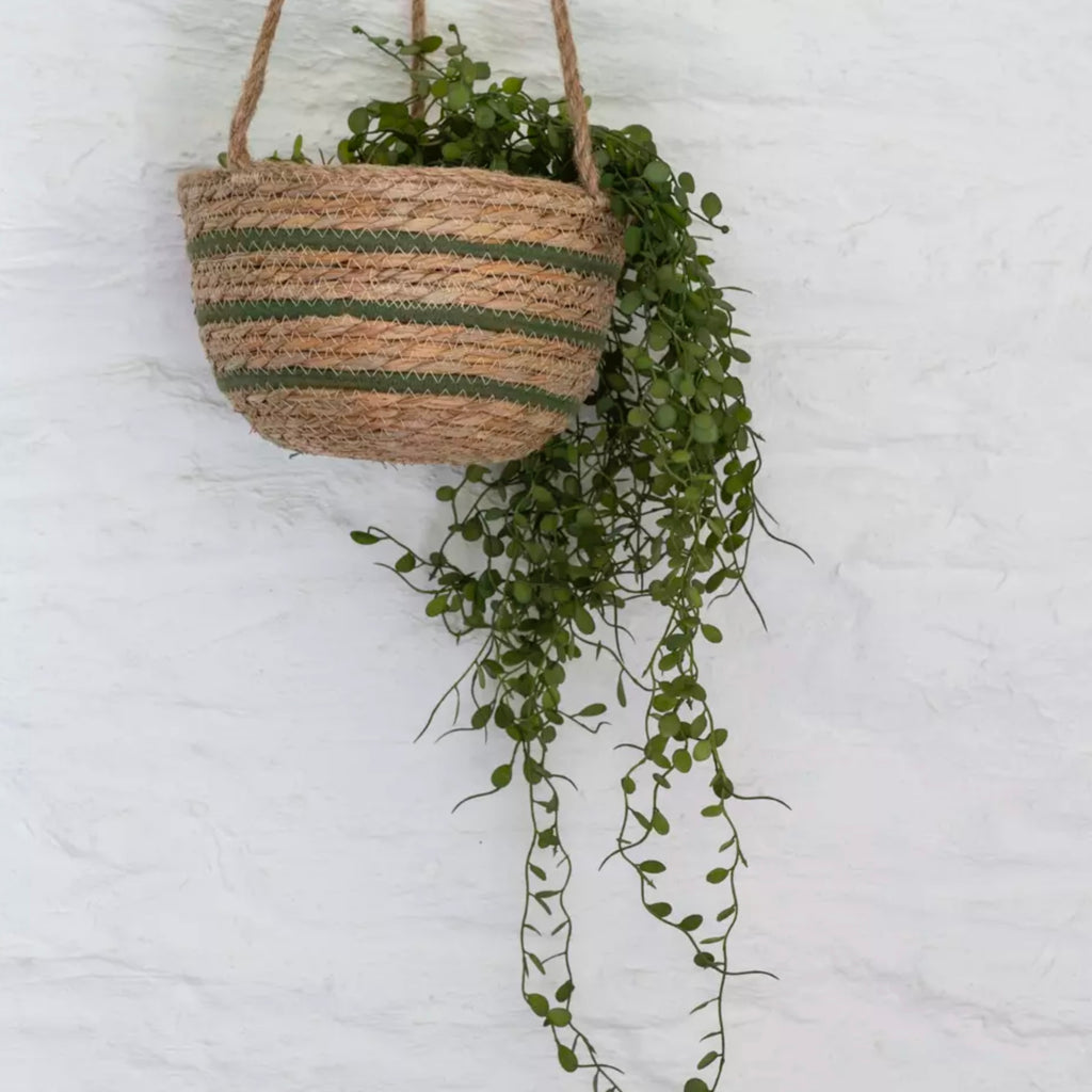 Green Stripe Seagrass Hanging Basket