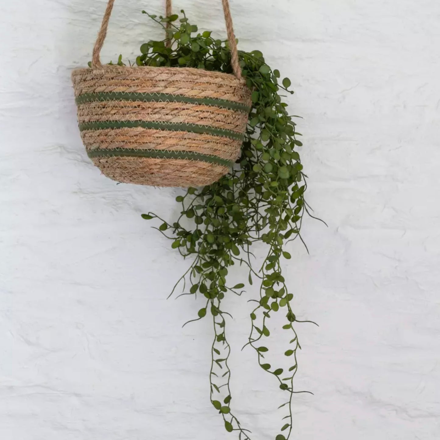 Green Stripe Seagrass Hanging Basket
