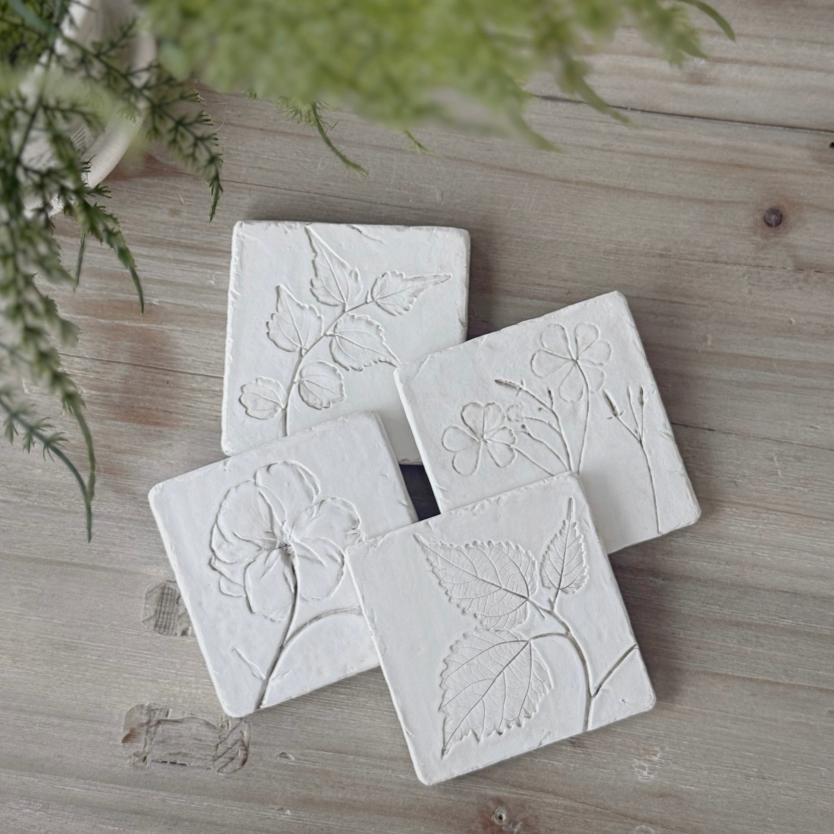 Set Of 4 Botanical Coasters