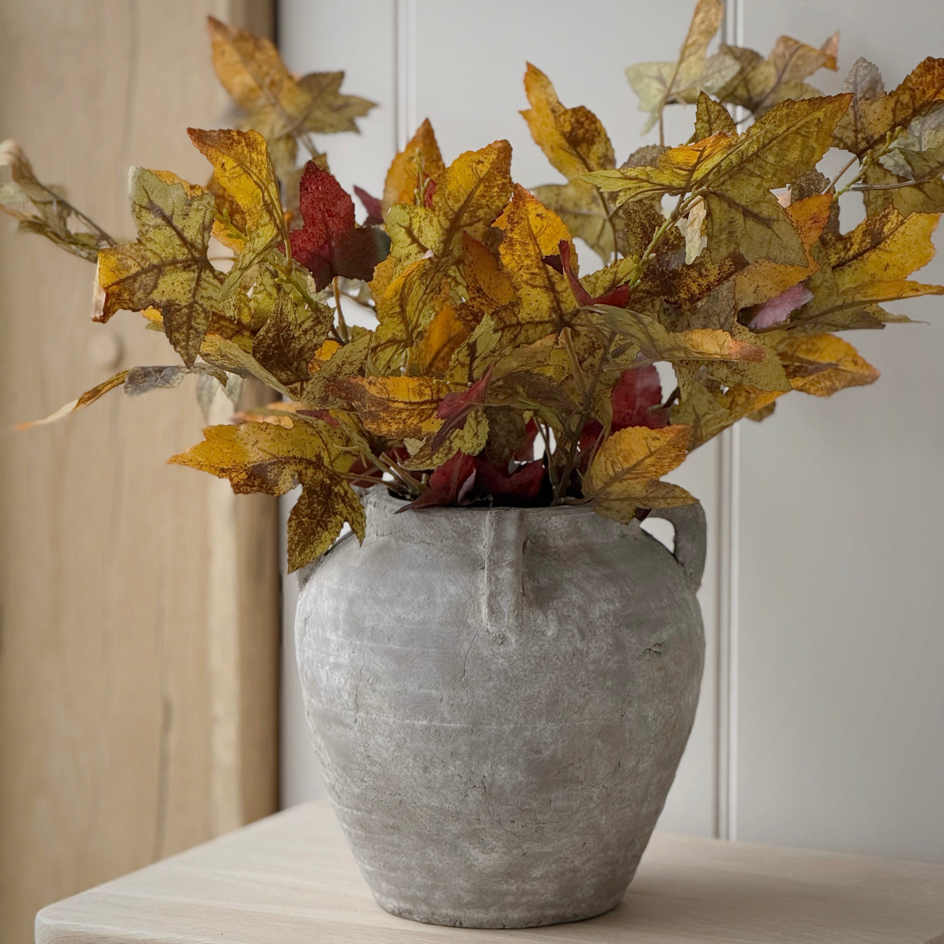 Autumn Maple Stem