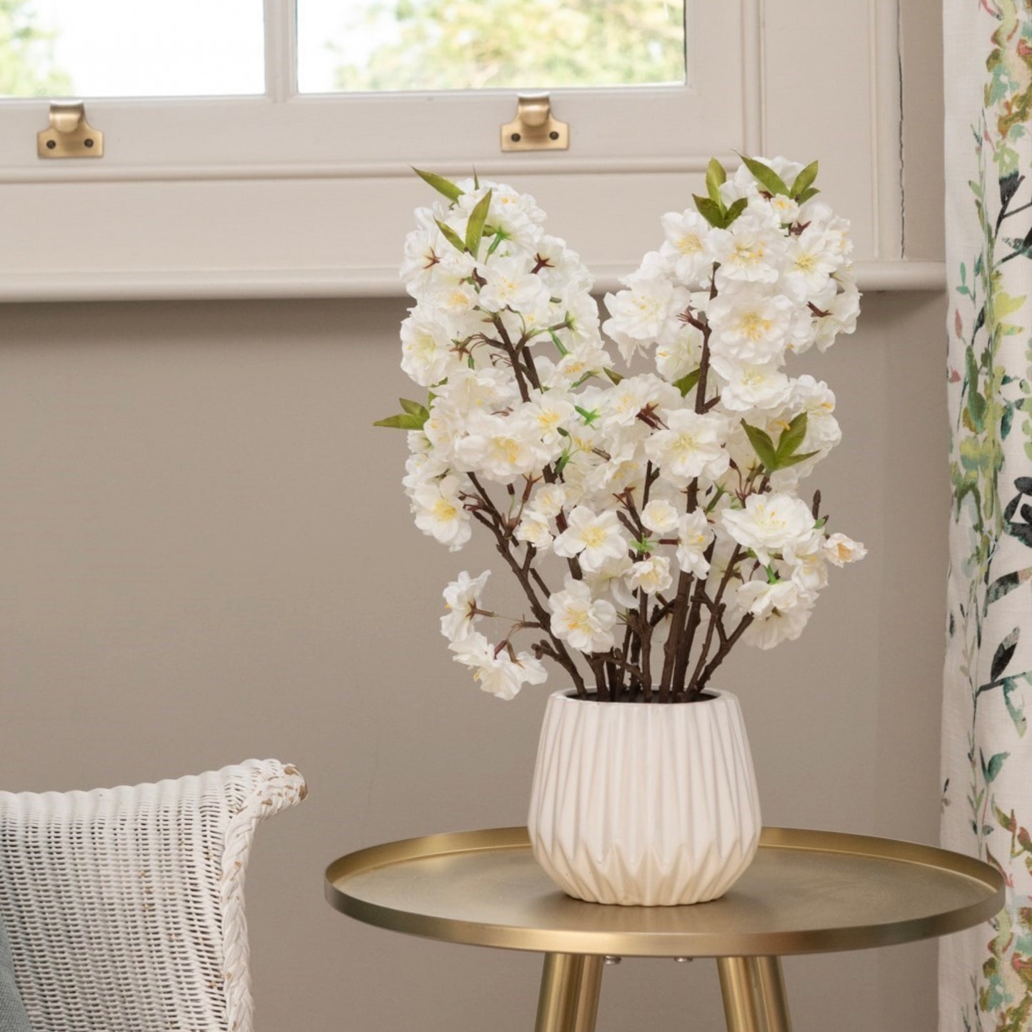 White Cherry Blossom In Pot