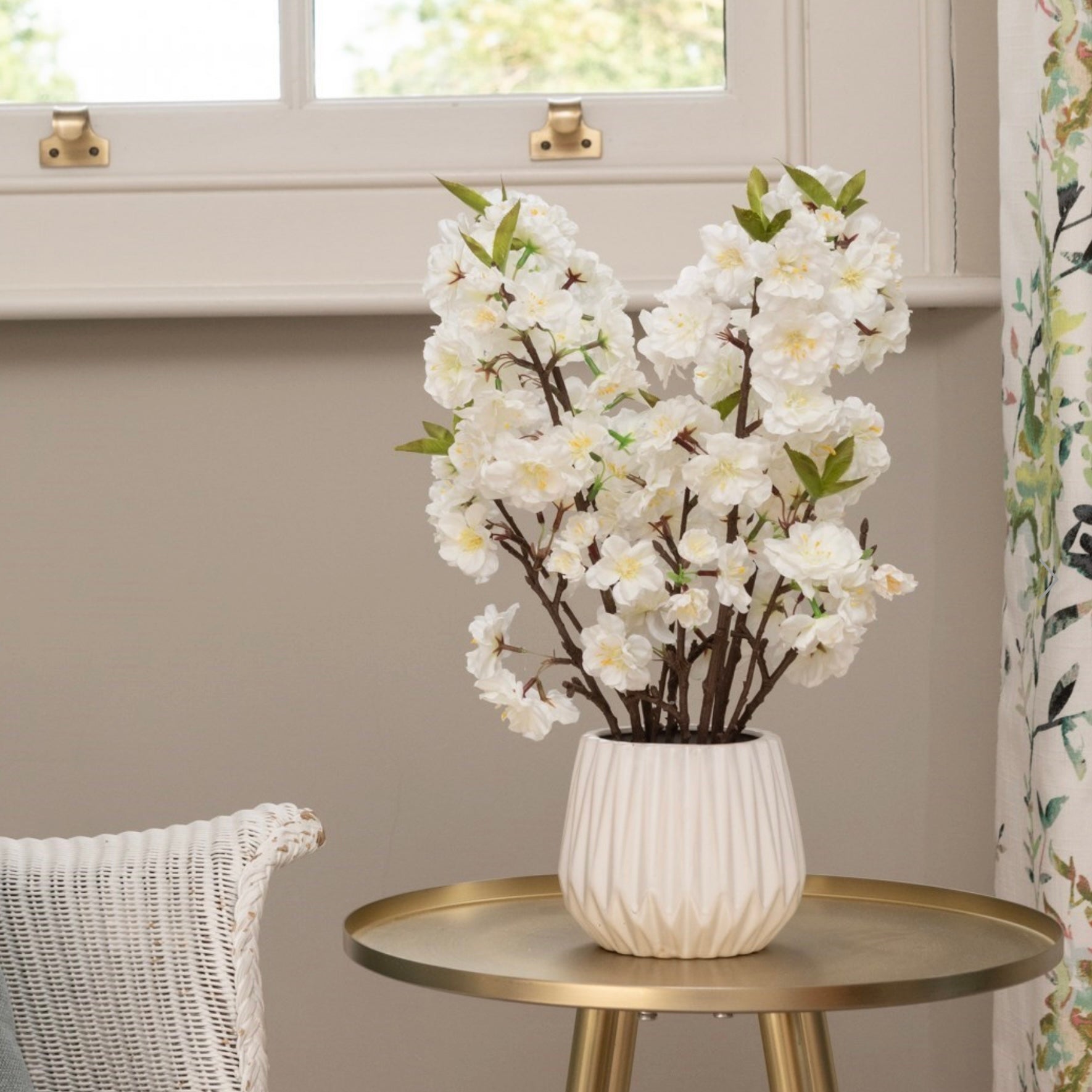 White Cherry Blossom In Pot