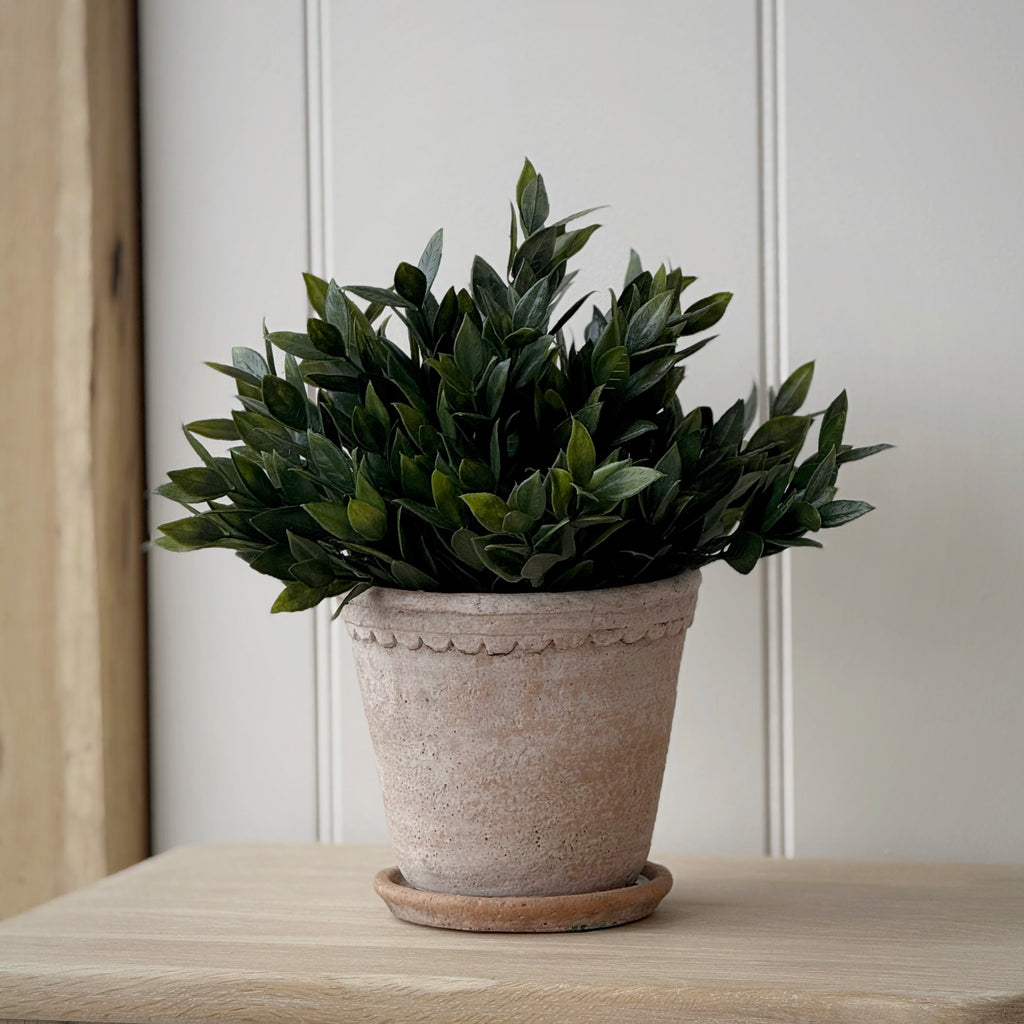 Medium Milton Planter