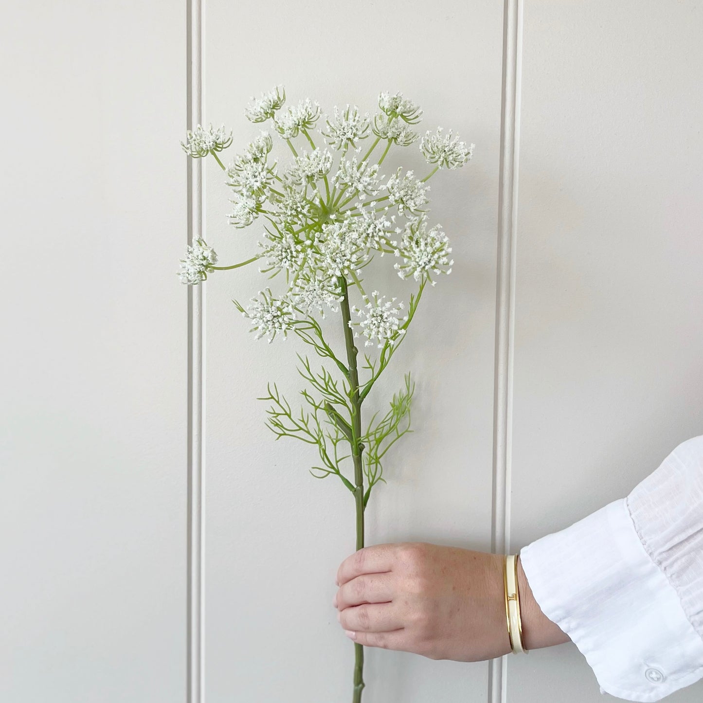 Queen Anne’s Lace Stem