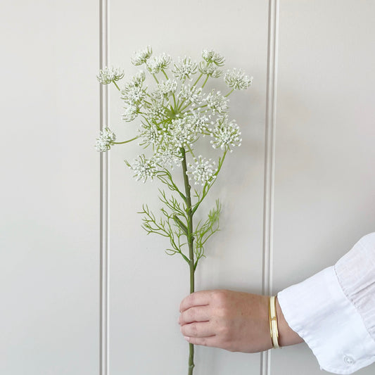 Queen Anne’s Lace Stem