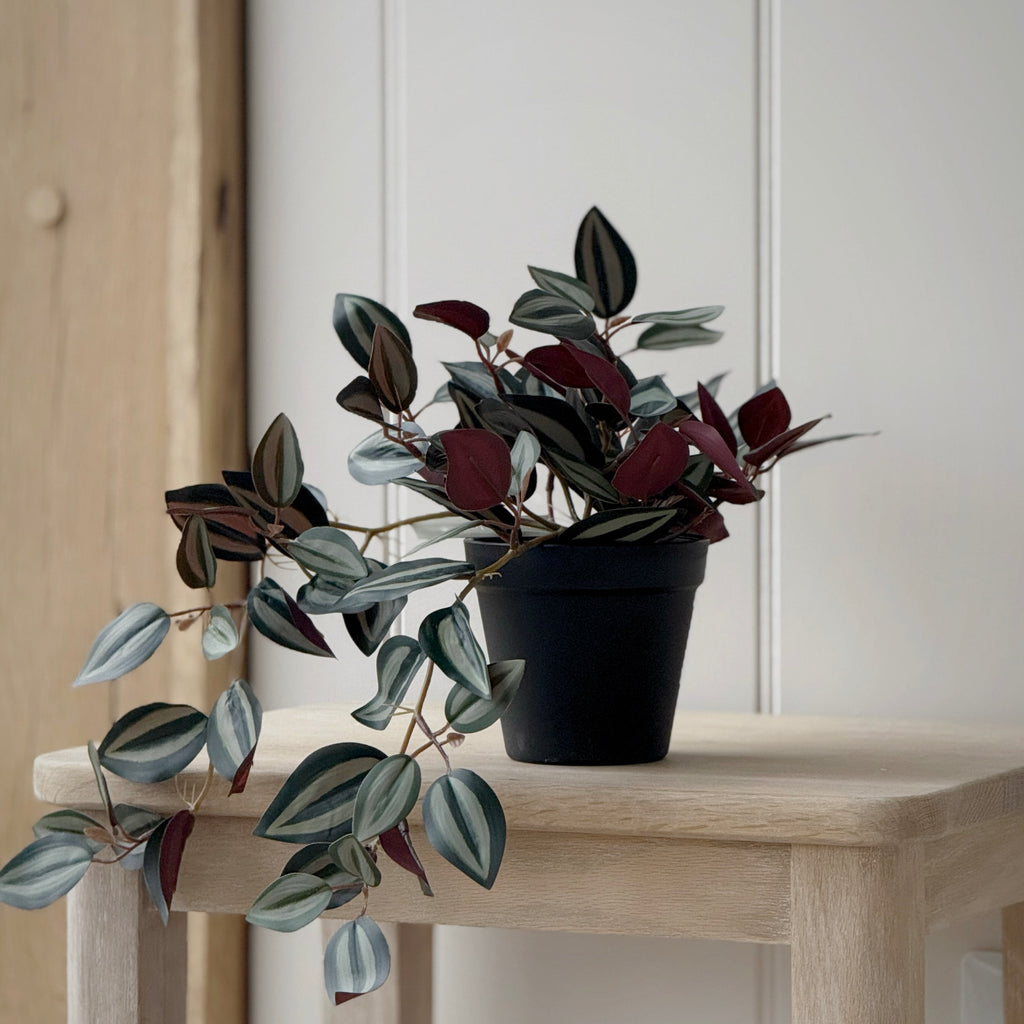 Faux Tradescantia