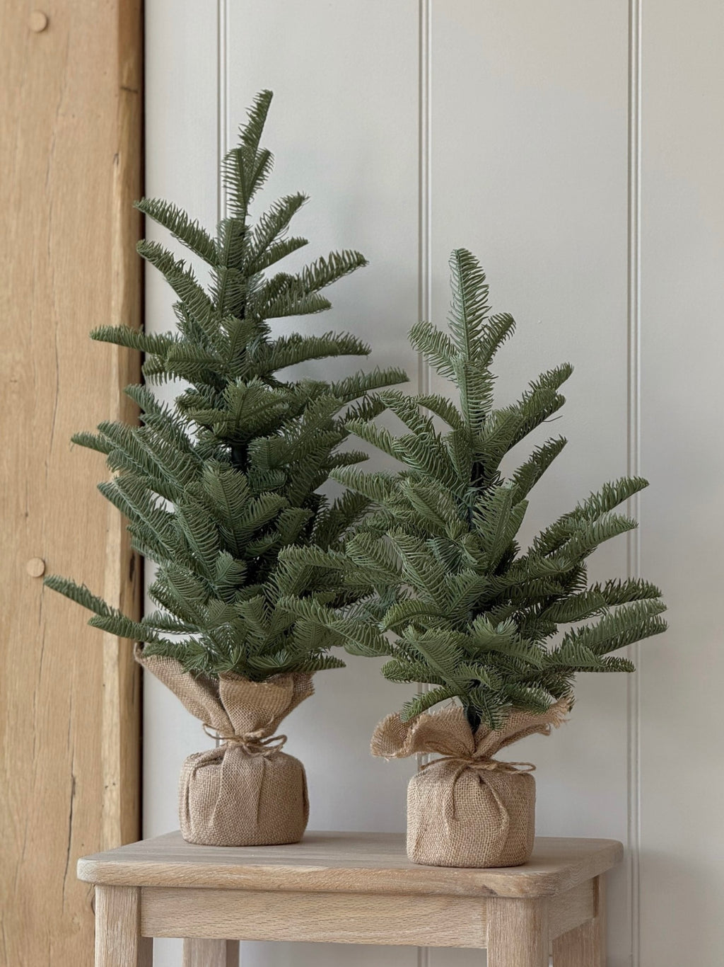 Pine Tree In Burlap 50cm