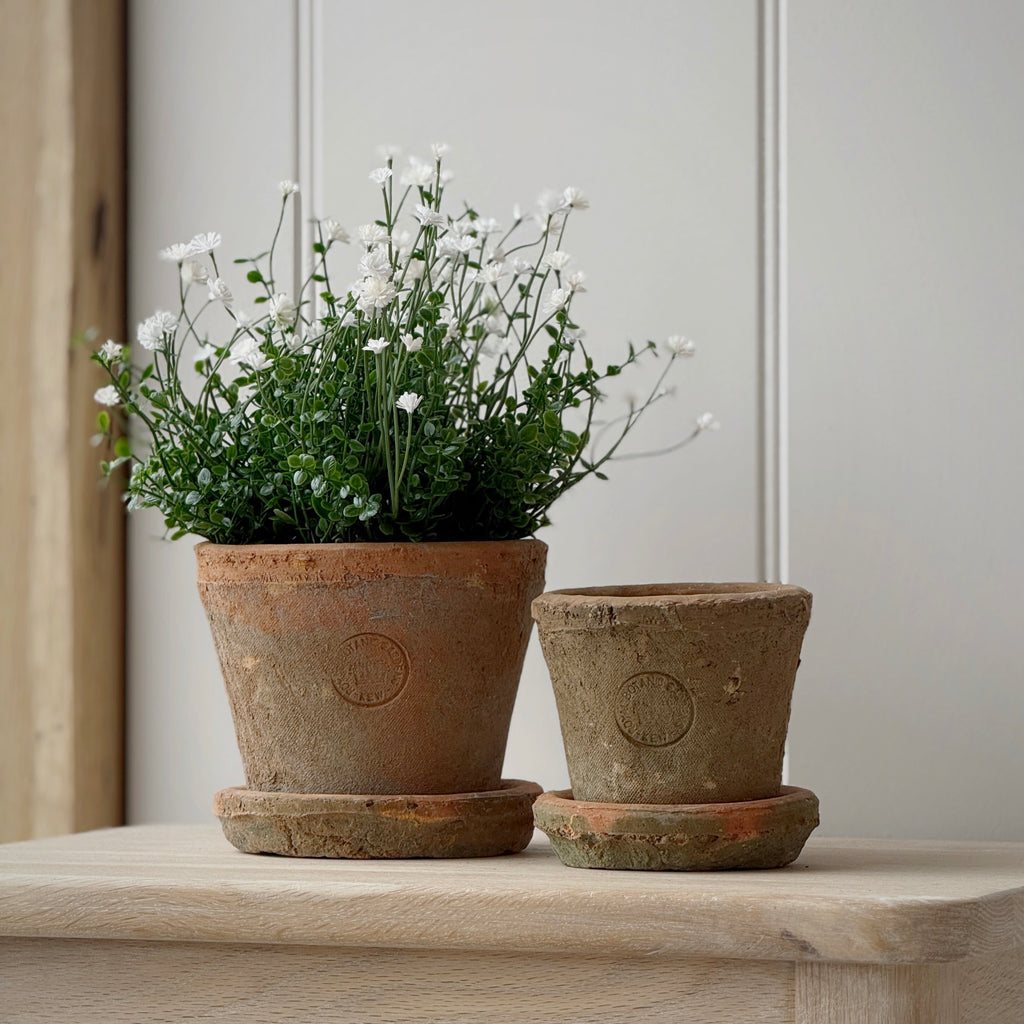 Large Kew Terracotta Pot