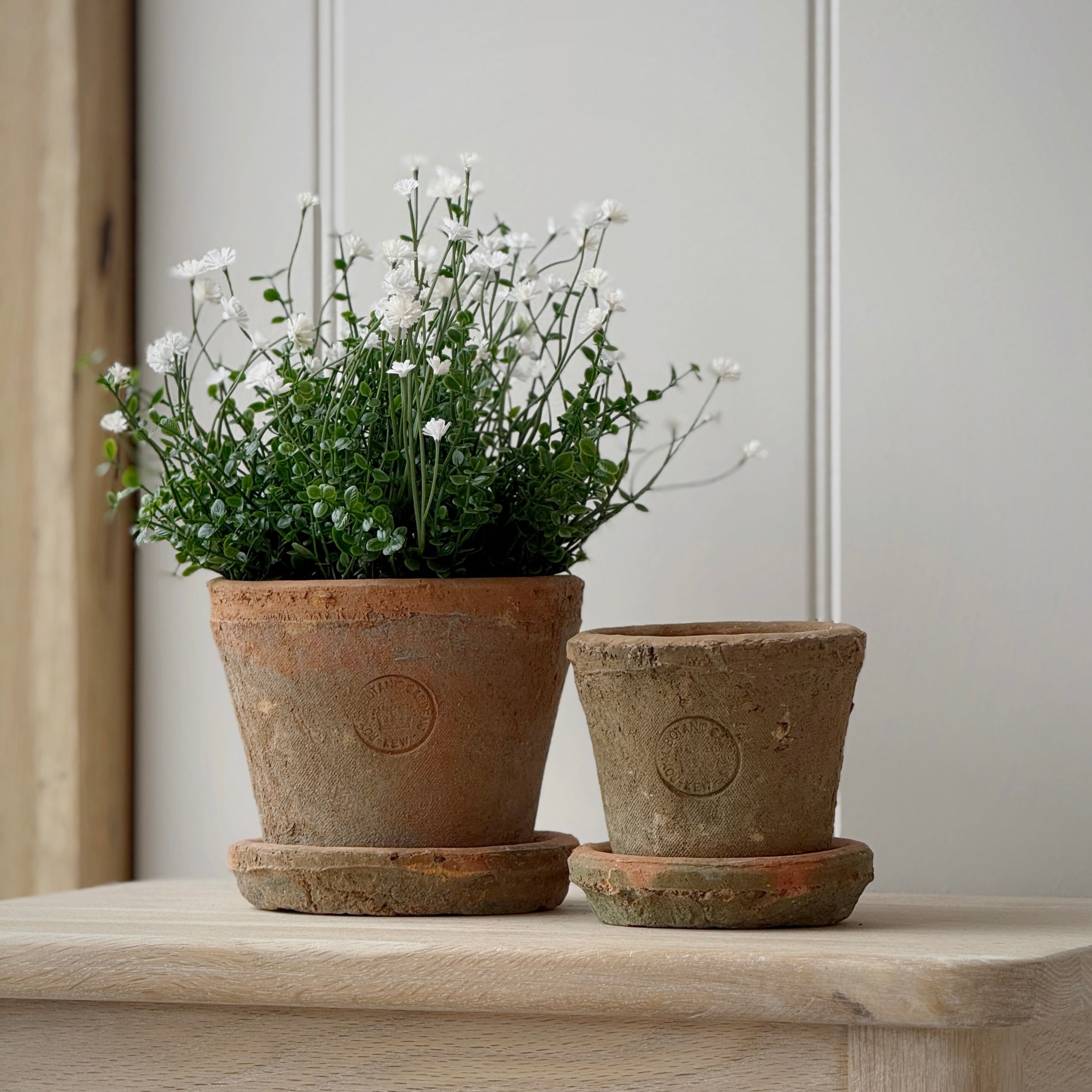 Large Kew Terracotta Pot
