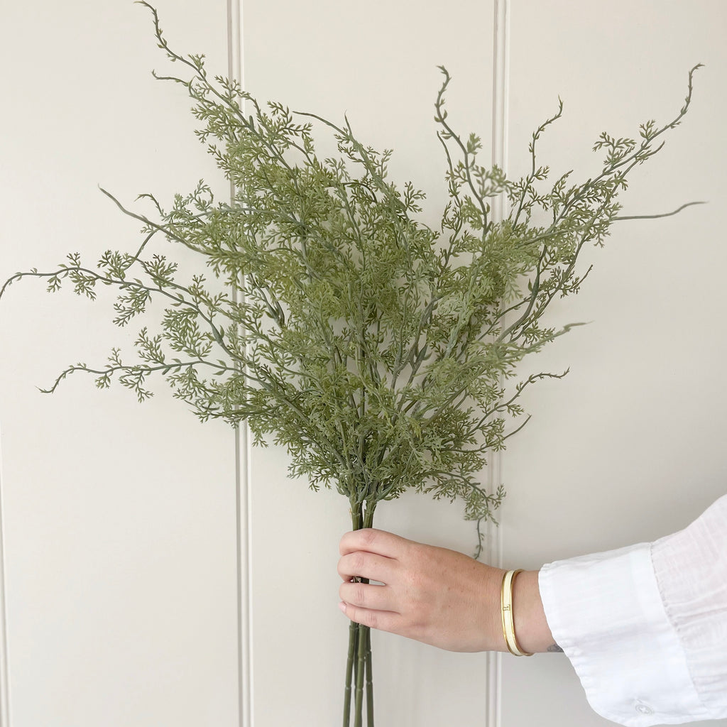 Asparagus Fern Bunch