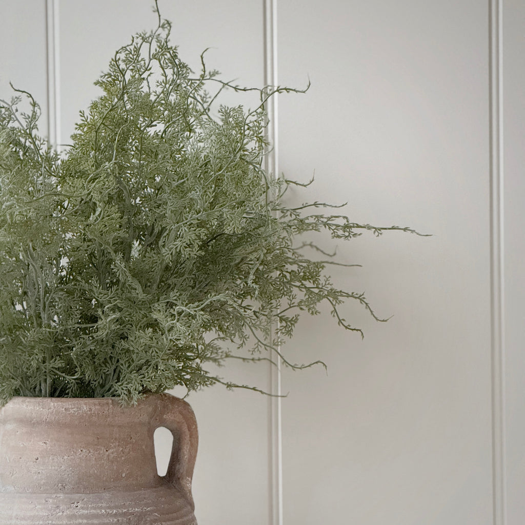 Asparagus Fern Bunch