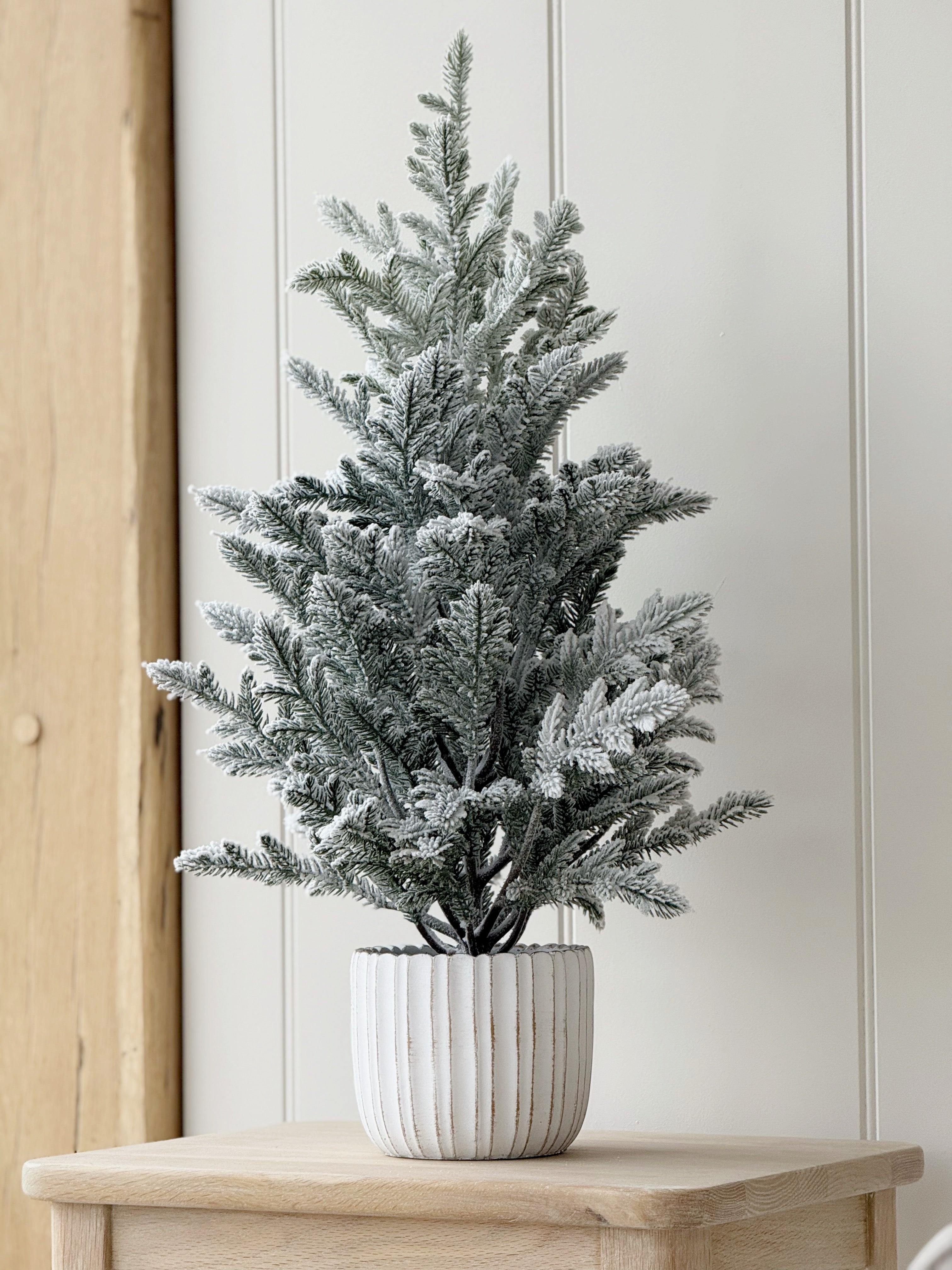 Snowy Potted Pine Tree