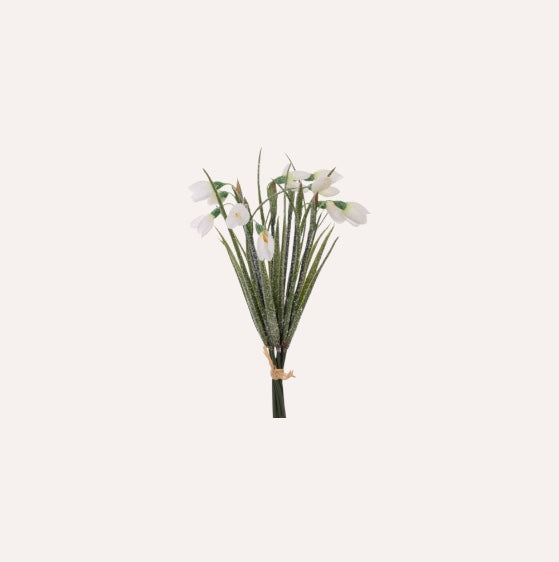 Frosted Snowdrop Bundle