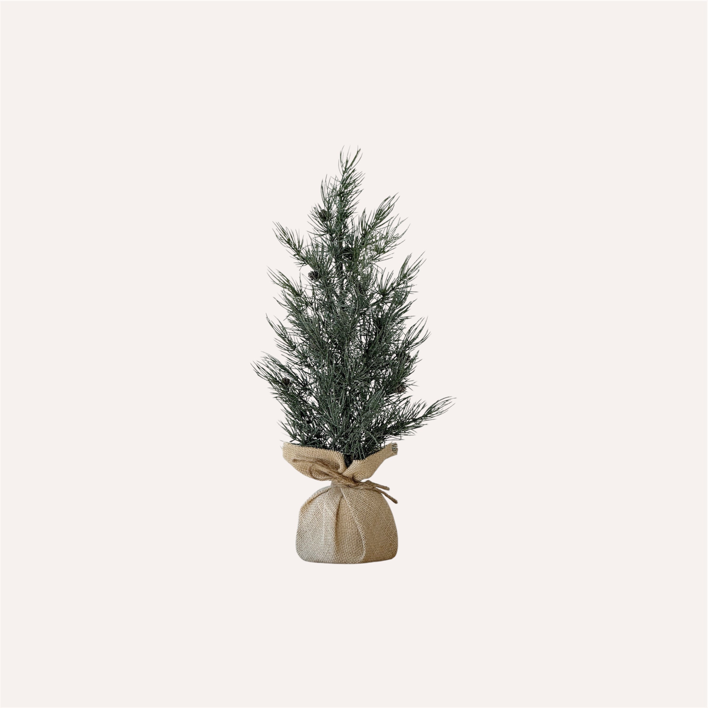Tall Frosted Pine Tree