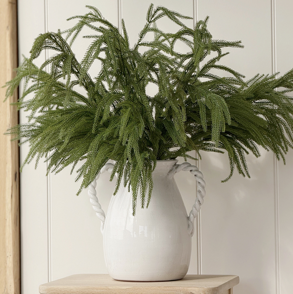 Norfolk Pine Branch