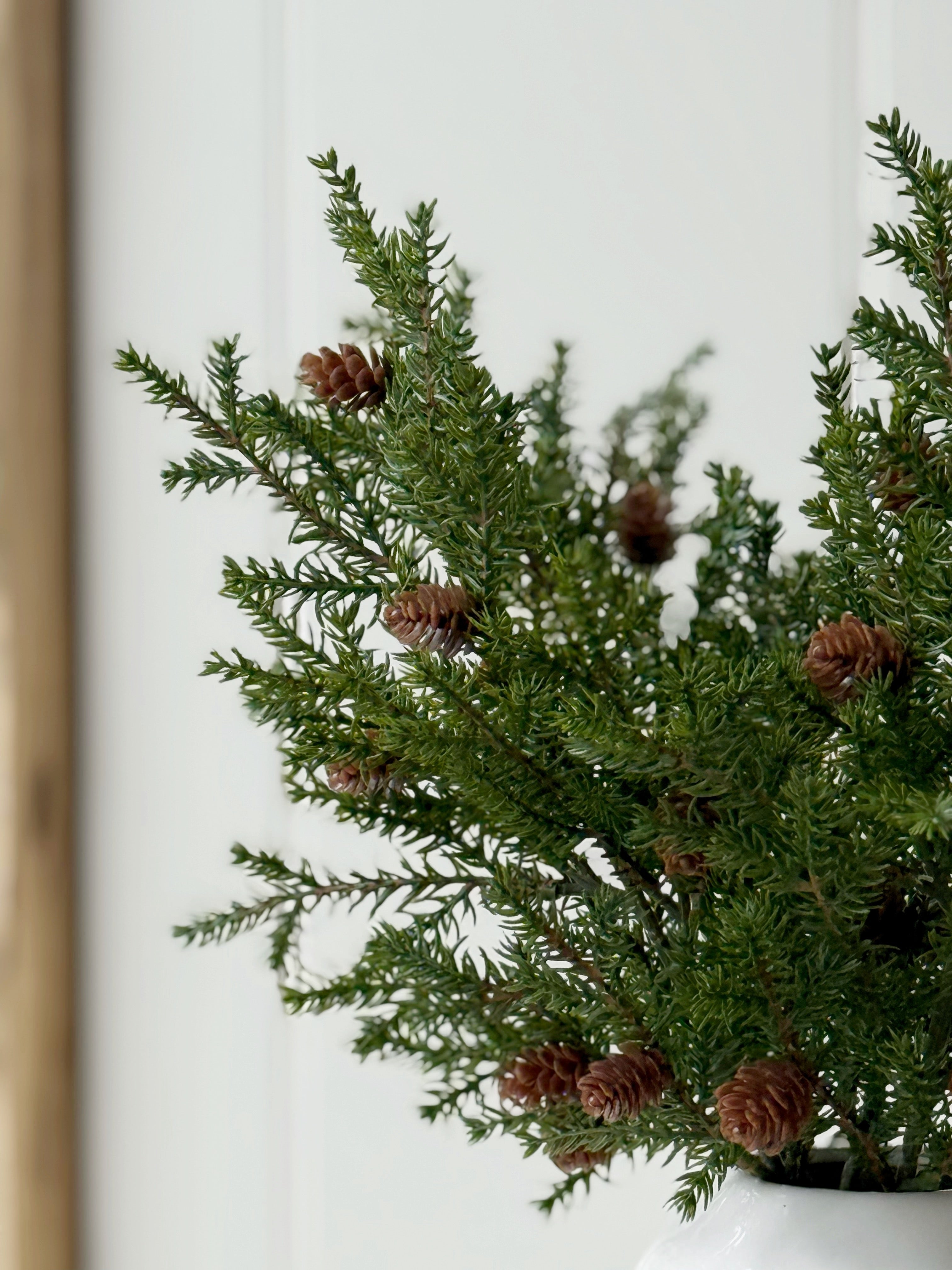 Fine Pine Spray With Cones