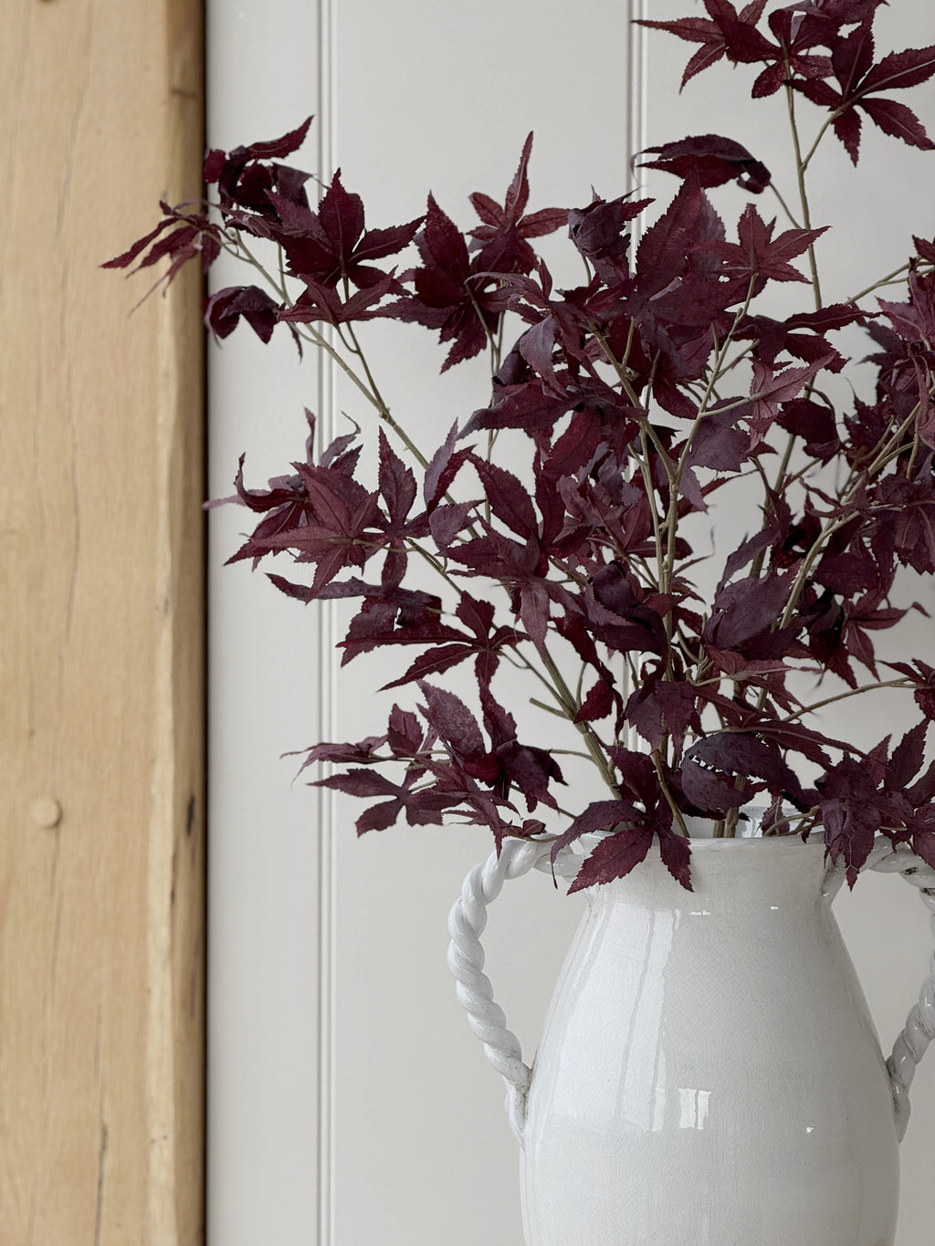 Burgundy Acer Stem