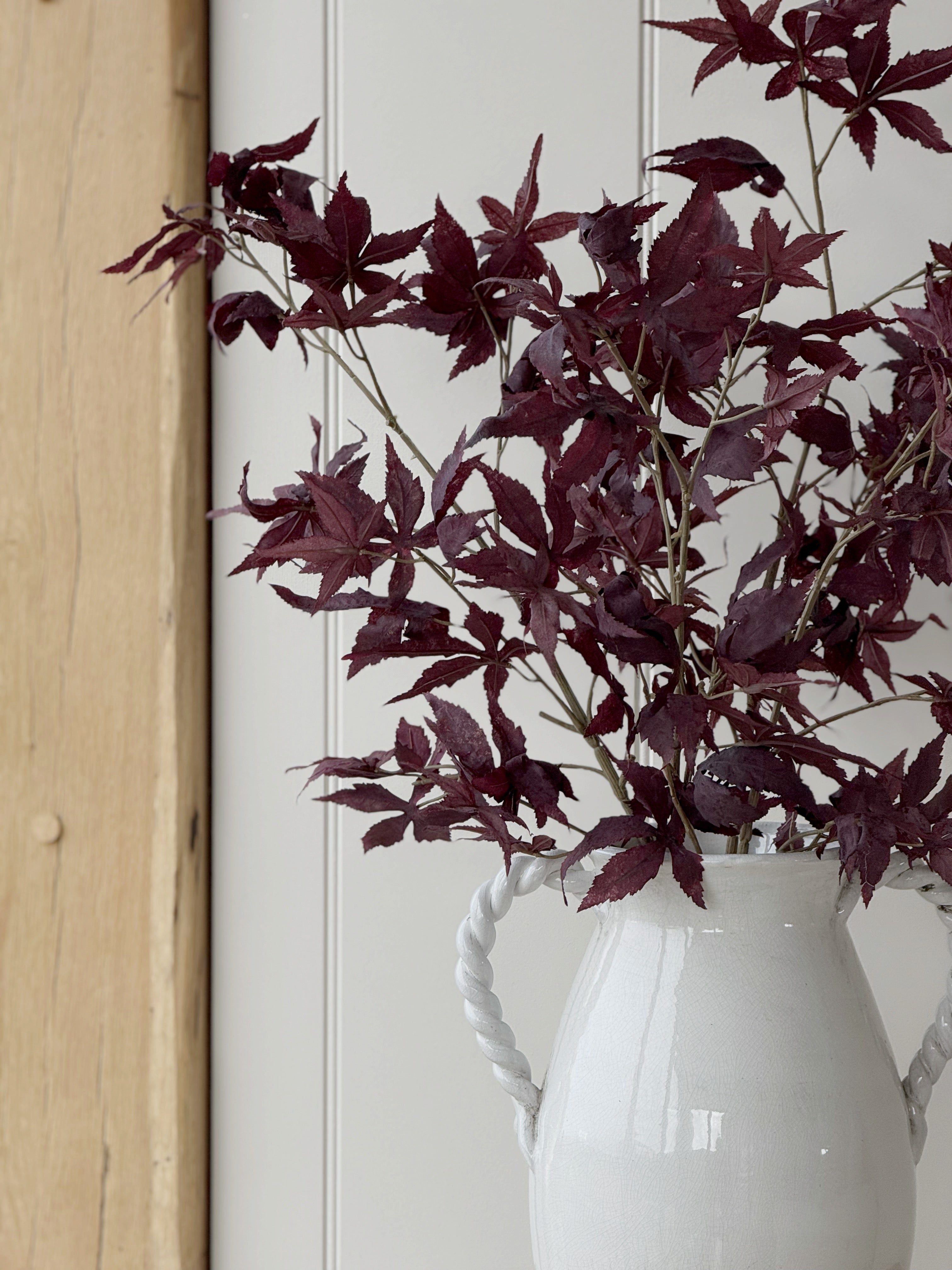 Burgundy Acer Stem