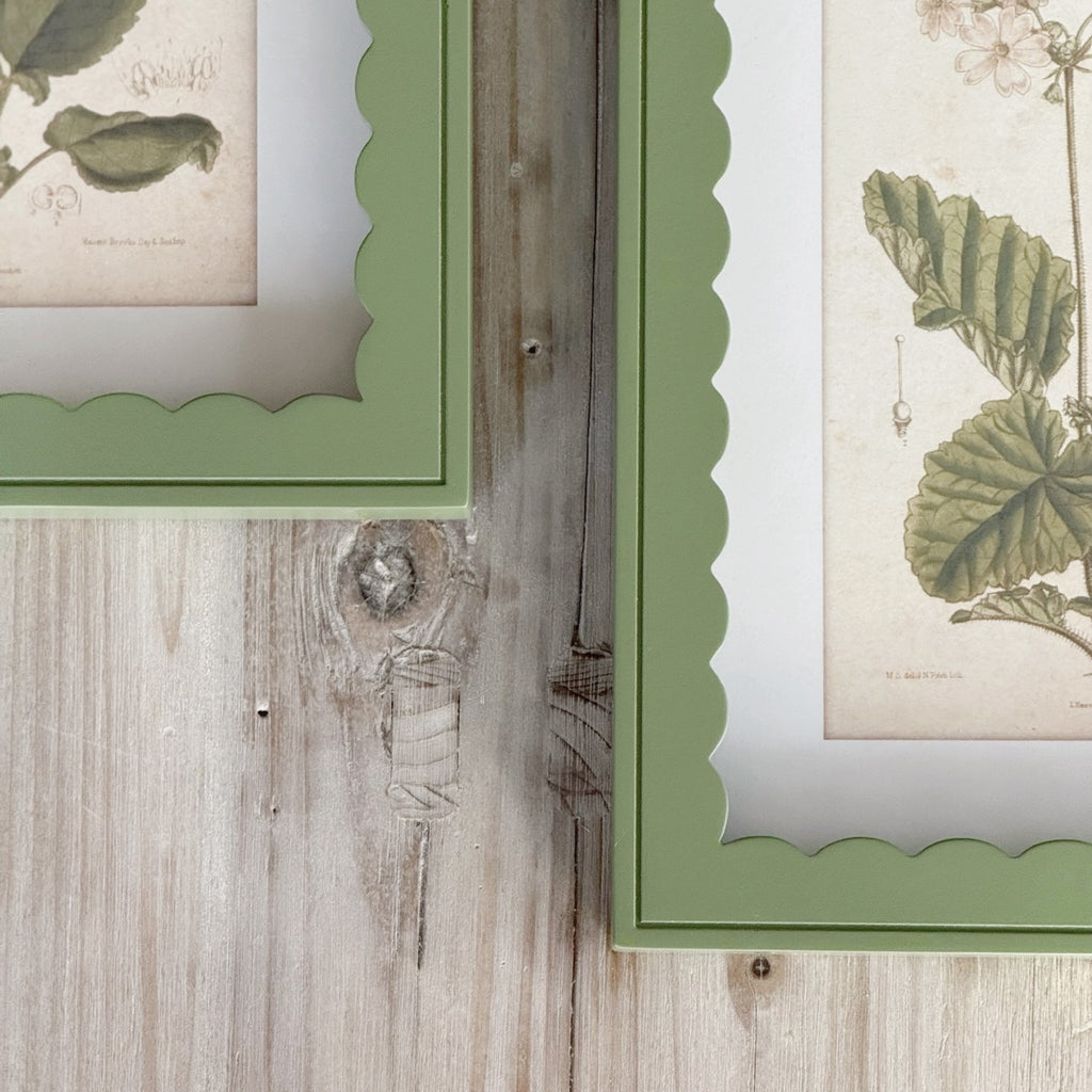 Set of 2 Scallop Primula Prints