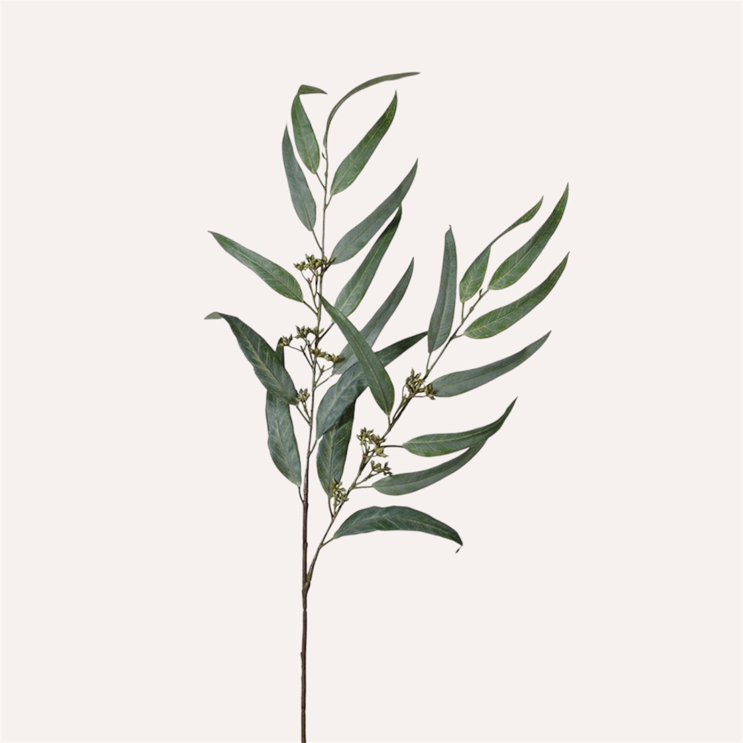 Green Willow Eucalyptus Spray