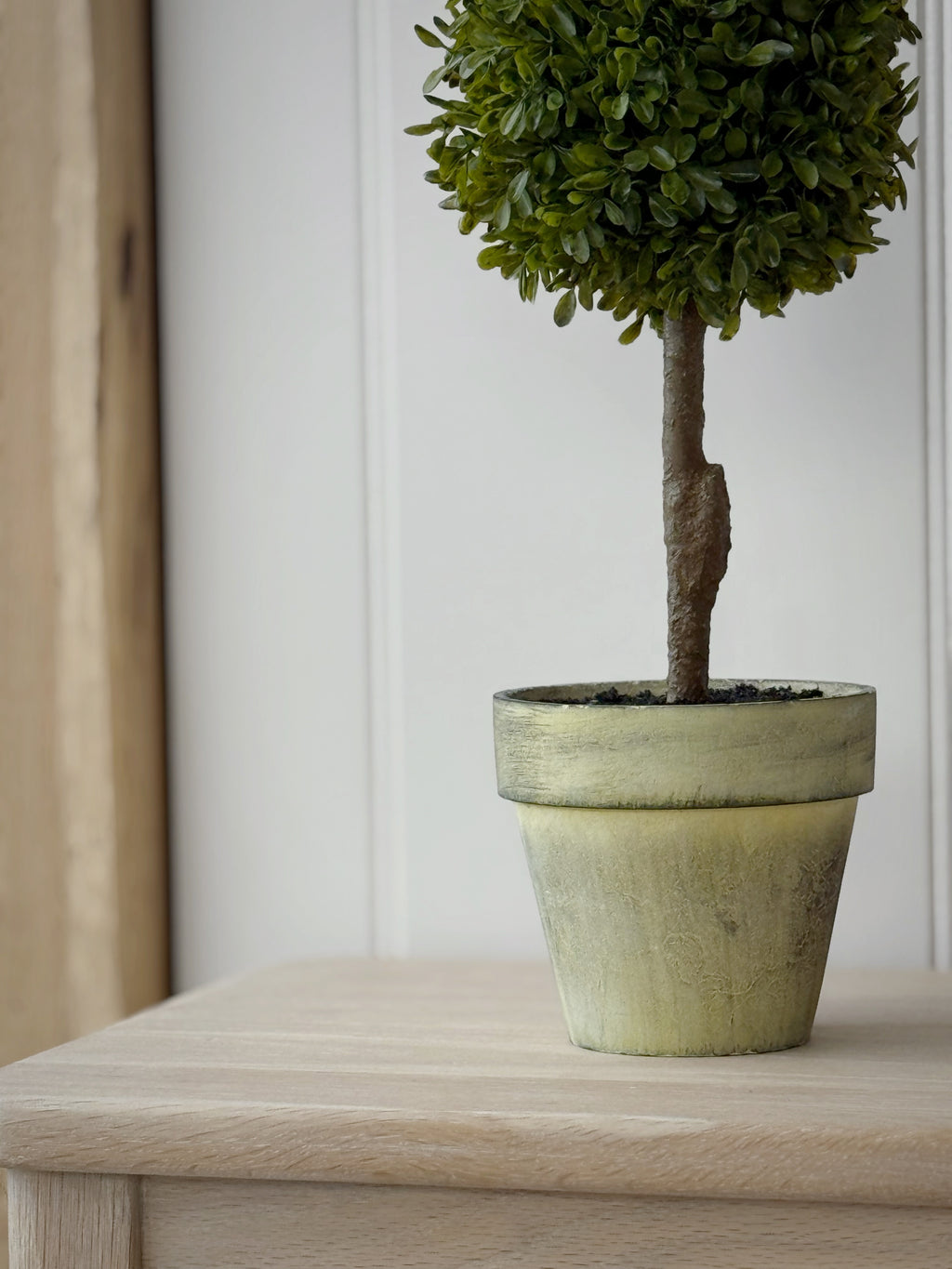 Mini Boxwood Ball In Pot
