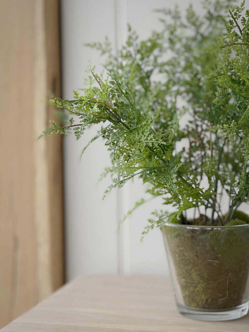 Fern Plant In Glass Pot