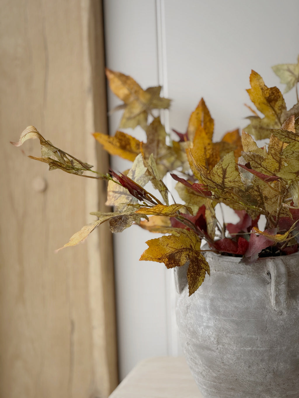 Autumn Maple Stem