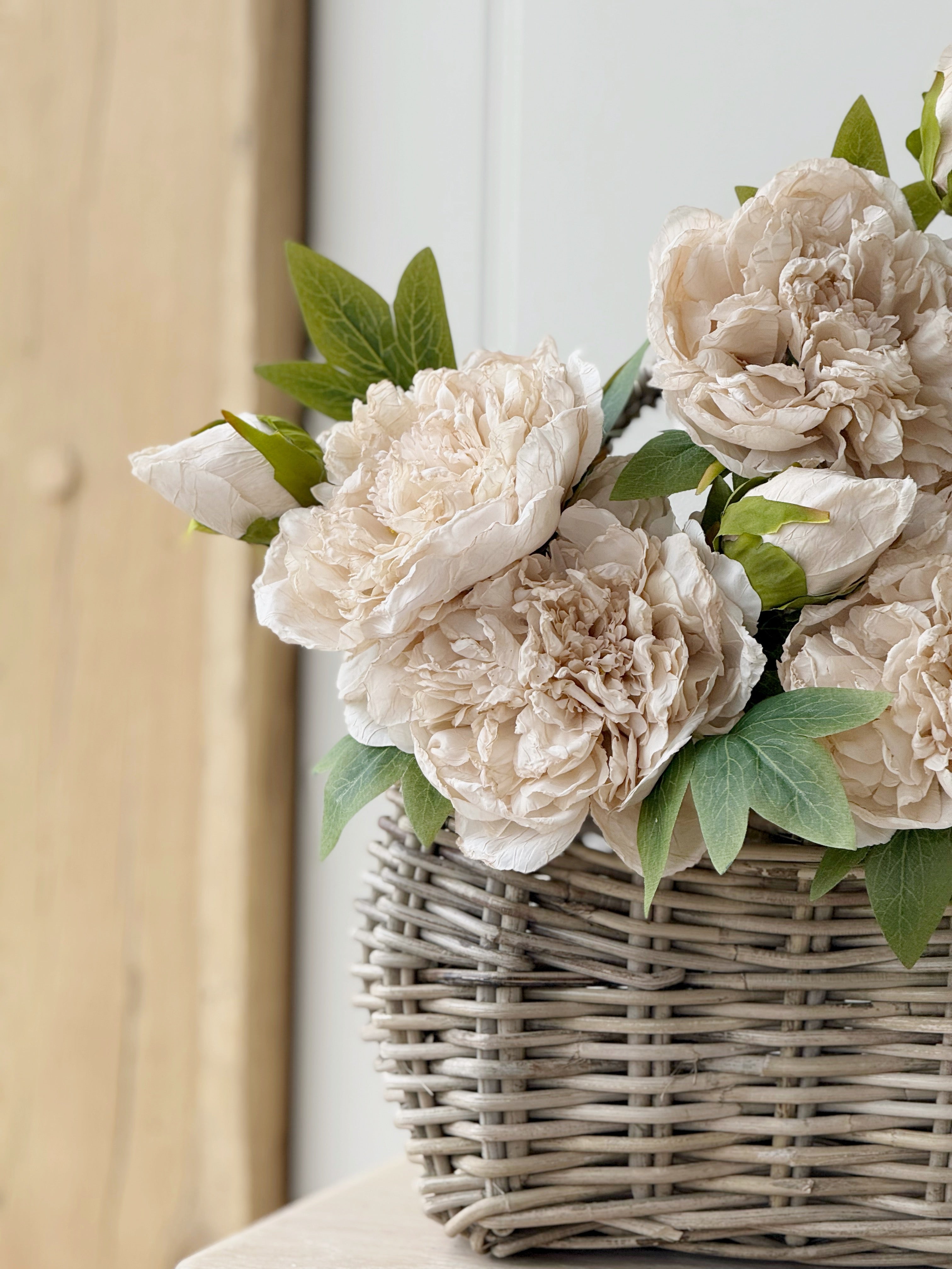 Oyster Dried Touch Open Peony