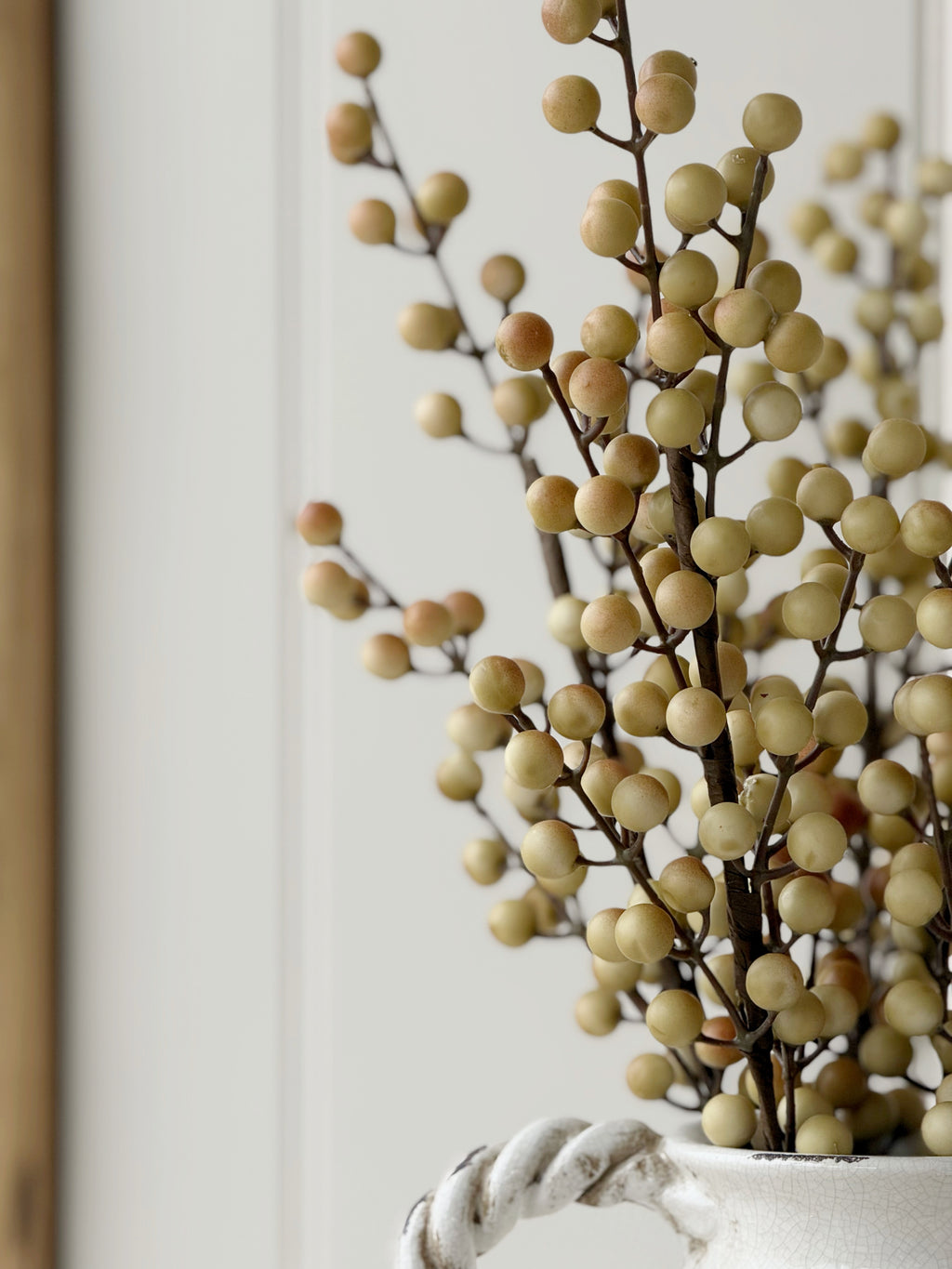 Coffee Berry Stem