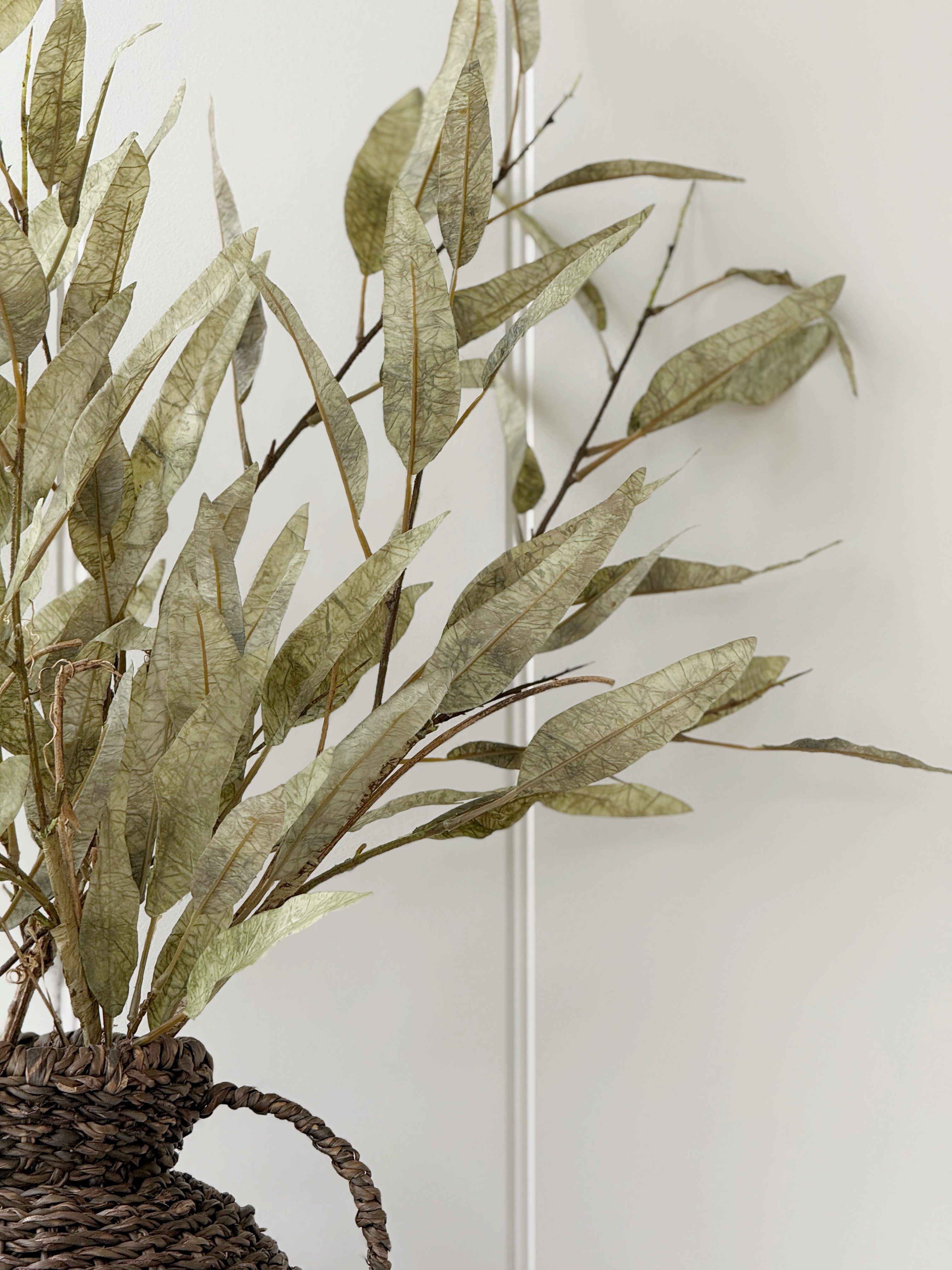 Dried Touch Slim Leaf Branch