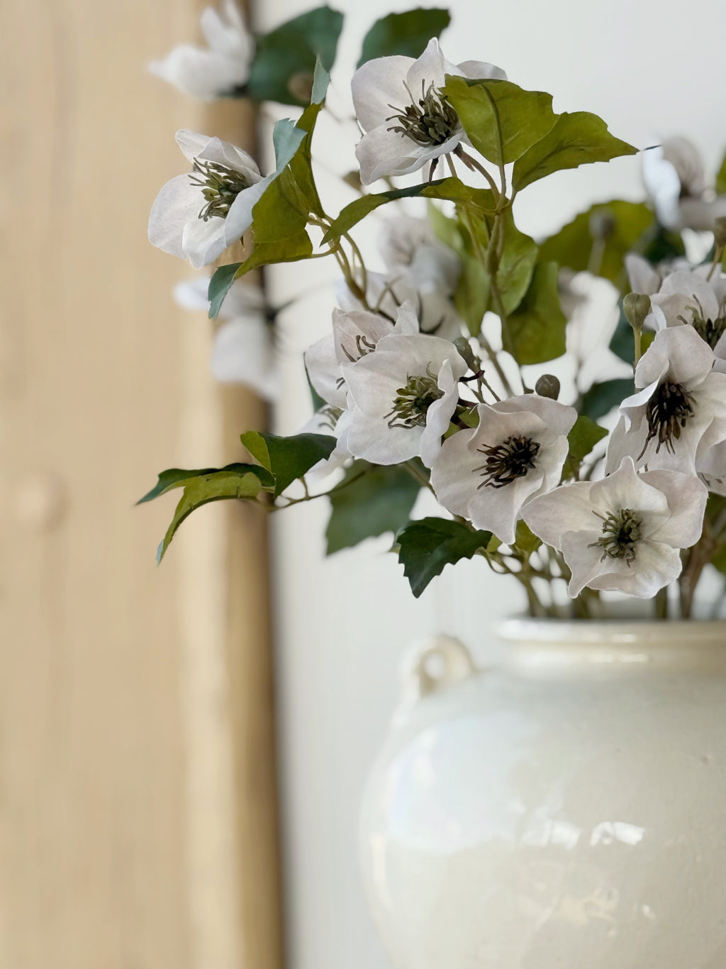 Hellebore Stem